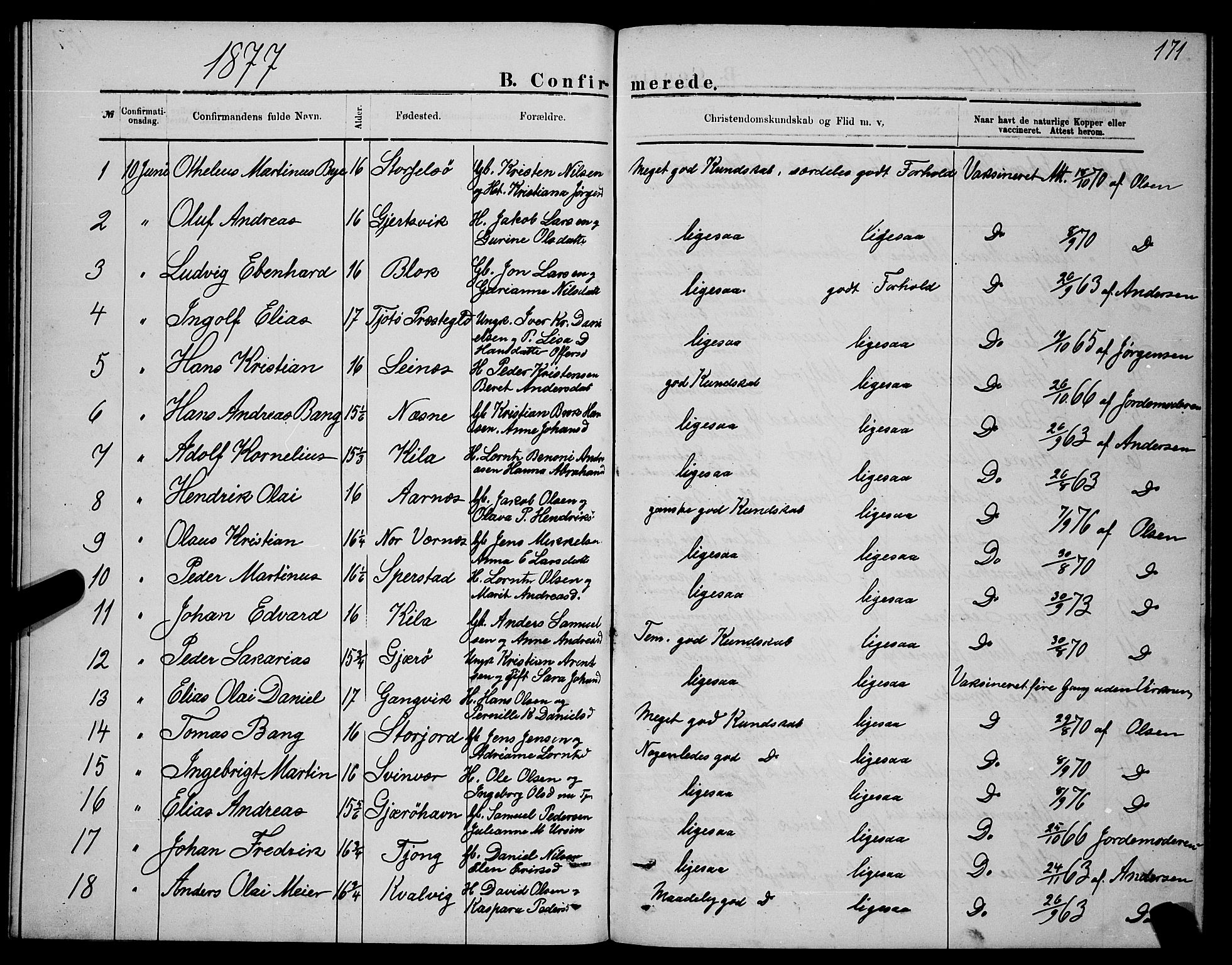 Ministerialprotokoller, klokkerbøker og fødselsregistre - Nordland, SAT/A-1459/841/L0620: Parish register (copy) no. 841C04, 1877-1896, p. 171