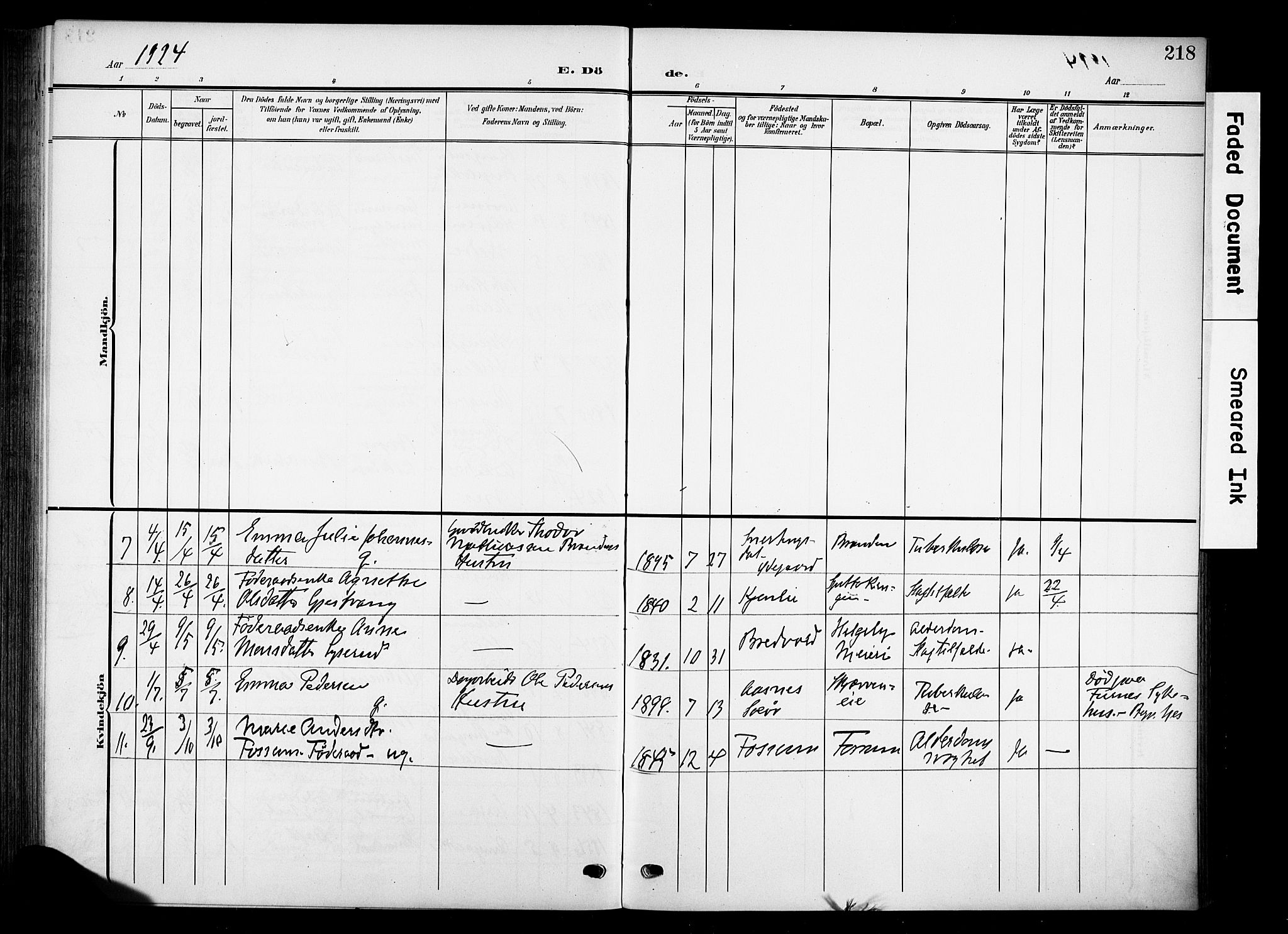 Nes prestekontor, Hedmark, SAH/PREST-020/K/Ka/L0013: Parish register (official) no. 13, 1906-1924, p. 218