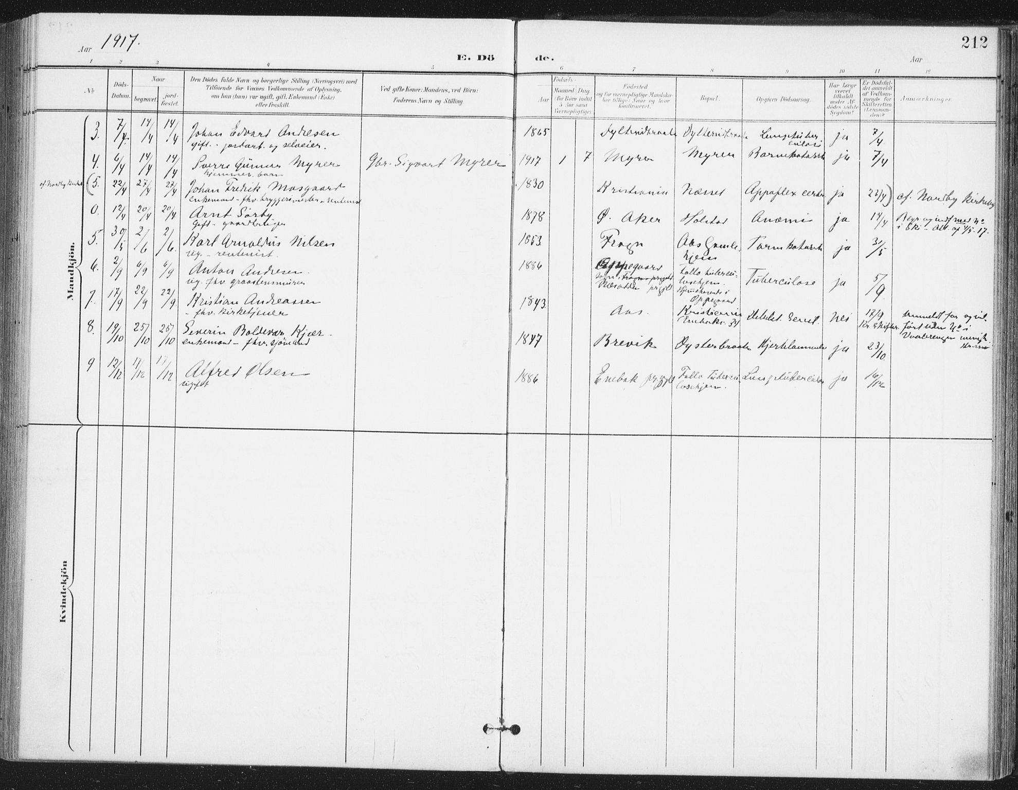 Ås prestekontor Kirkebøker, SAO/A-10894/F/Fa/L0010: Parish register (official) no. I 10, 1900-1918, p. 212