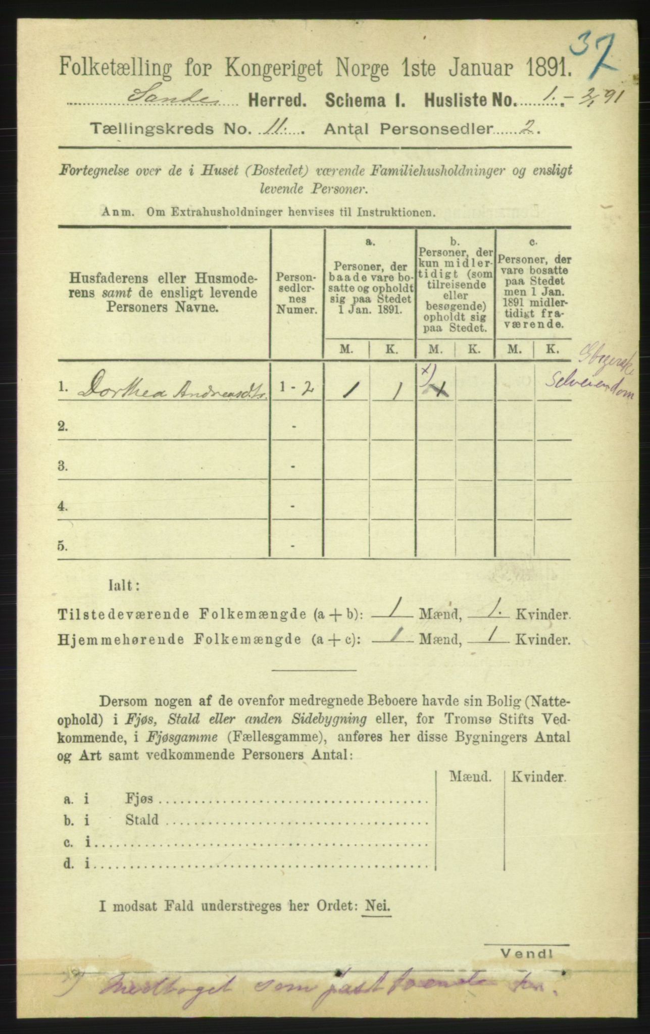 RA, 1891 census for 1514 Sande, 1891, p. 1919