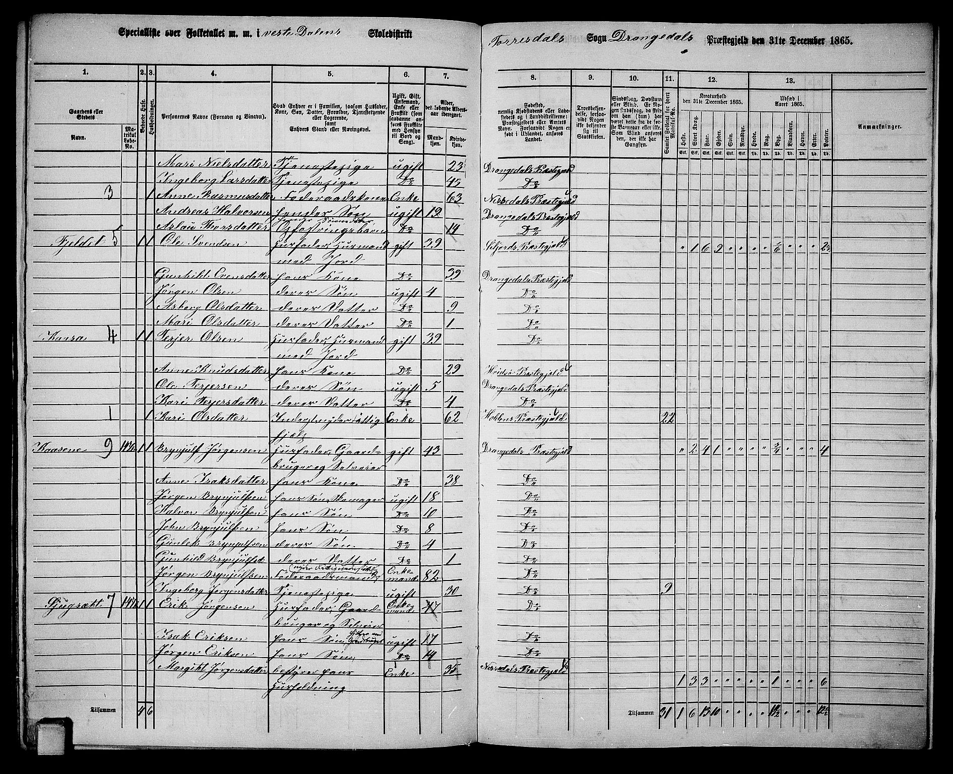 RA, 1865 census for Drangedal, 1865, p. 140