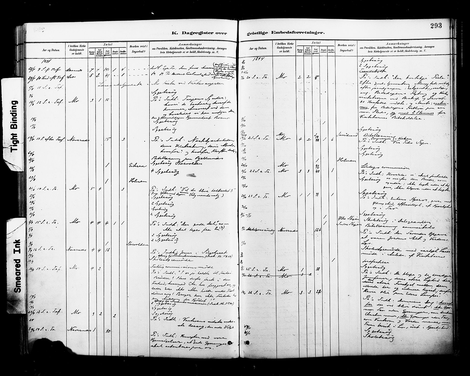 Ministerialprotokoller, klokkerbøker og fødselsregistre - Nordland, AV/SAT-A-1459/827/L0401: Parish register (official) no. 827A13, 1887-1905, p. 293