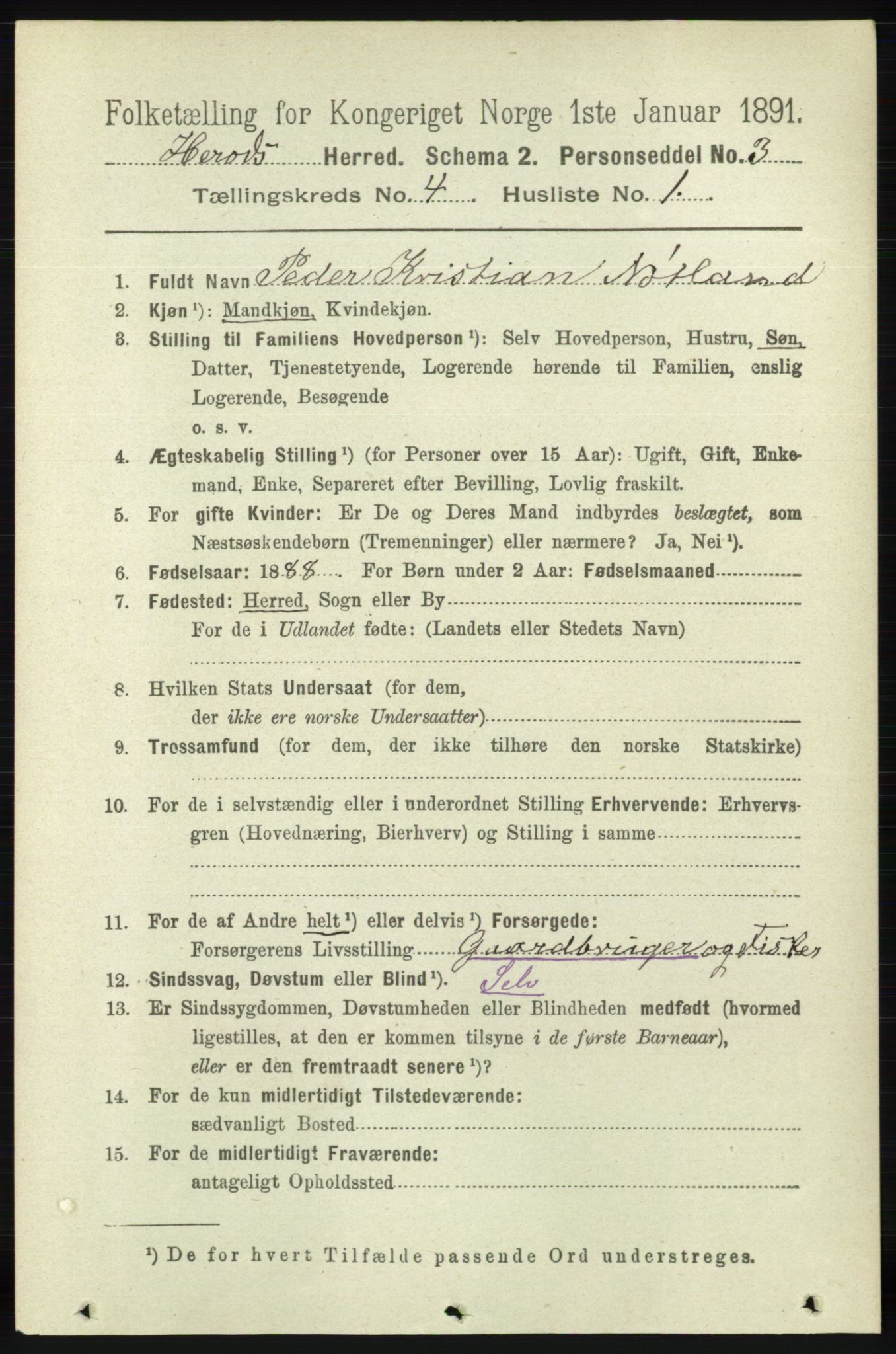 RA, 1891 census for 1039 Herad, 1891, p. 1421