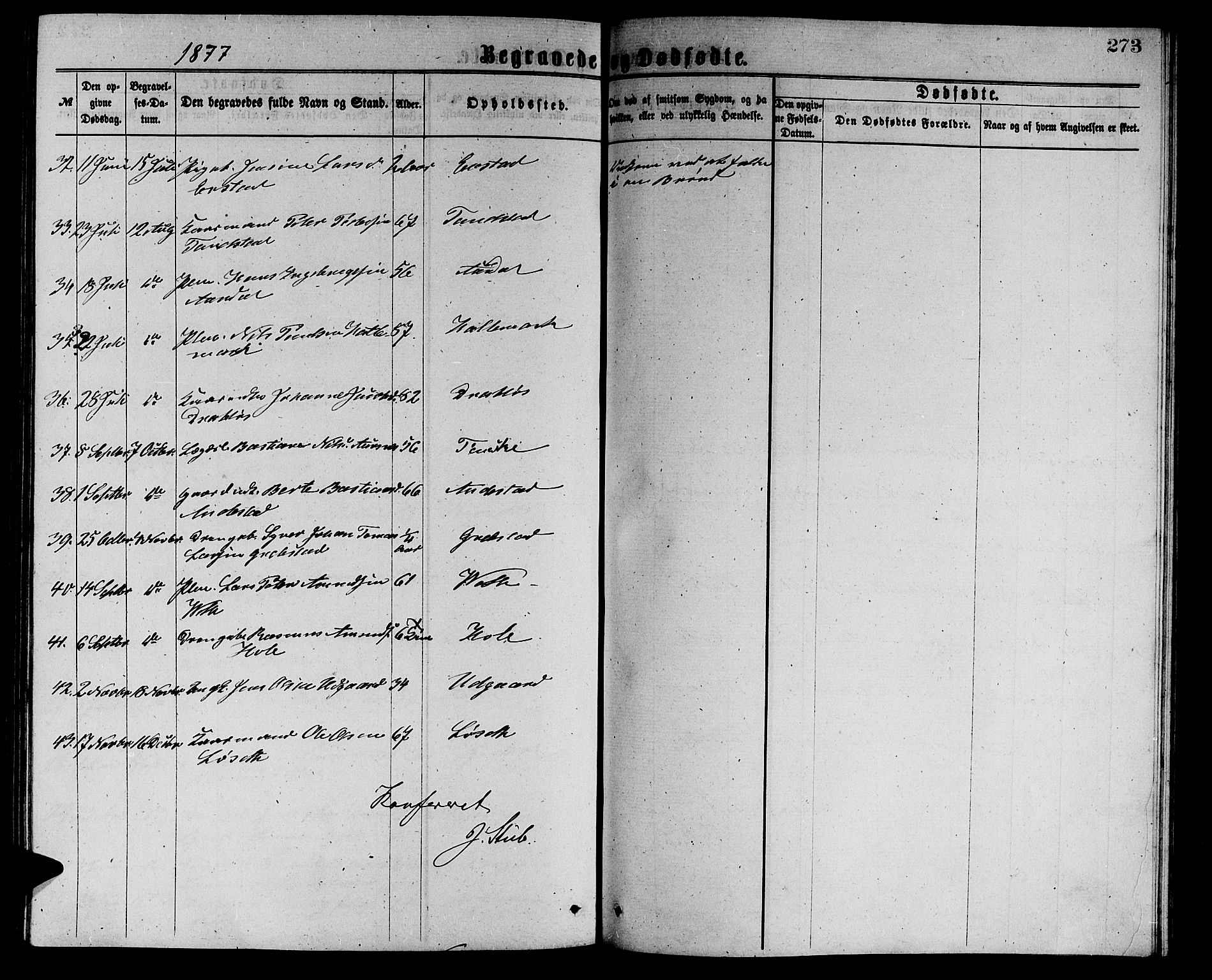 Ministerialprotokoller, klokkerbøker og fødselsregistre - Møre og Romsdal, AV/SAT-A-1454/523/L0338: Parish register (copy) no. 523C01, 1865-1877, p. 273