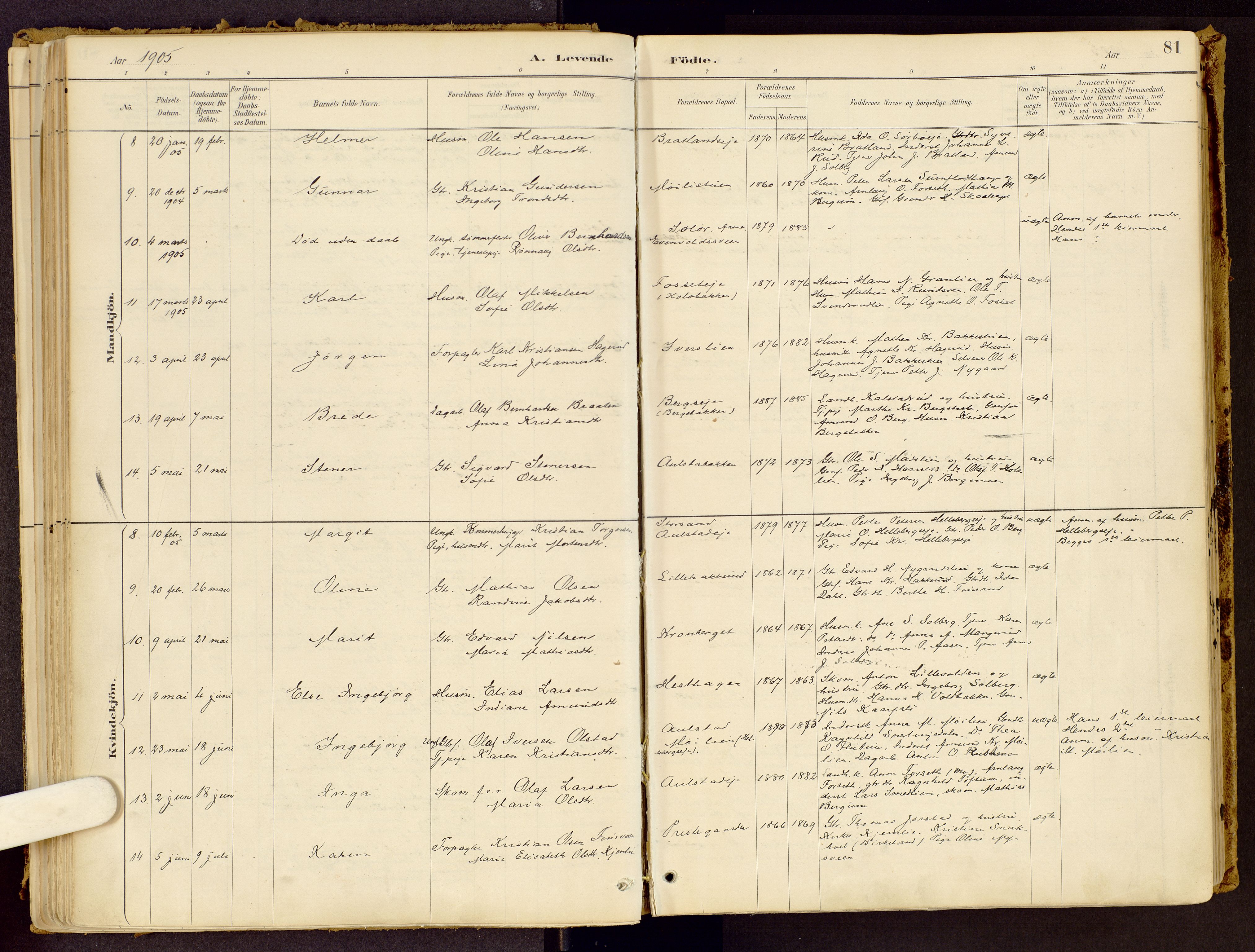 Vestre Gausdal prestekontor, SAH/PREST-094/H/Ha/Haa/L0001: Parish register (official) no. 1, 1887-1914, p. 81