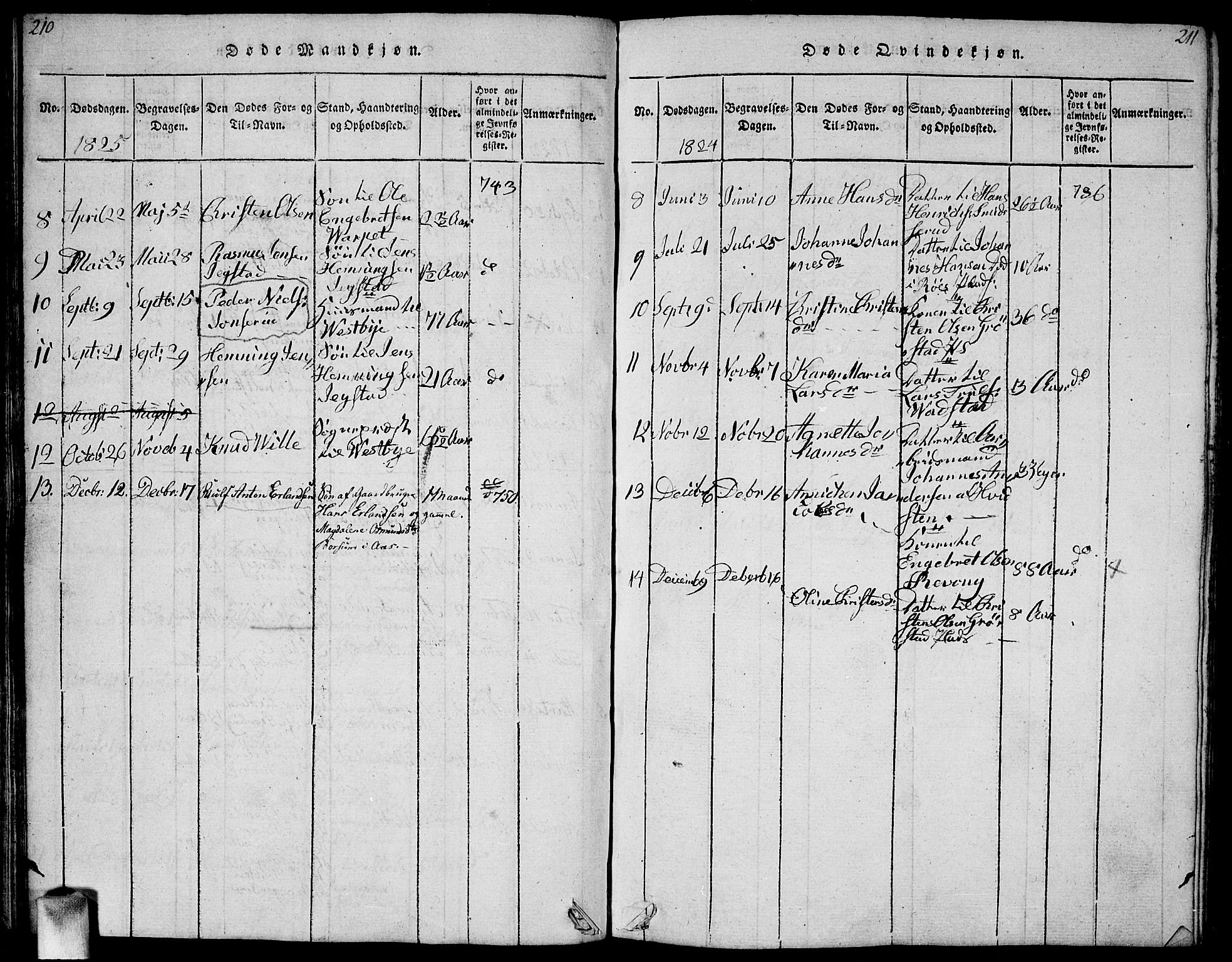 Vestby prestekontor Kirkebøker, SAO/A-10893/G/Ga/L0001: Parish register (copy) no. I 1, 1814-1827, p. 210-211