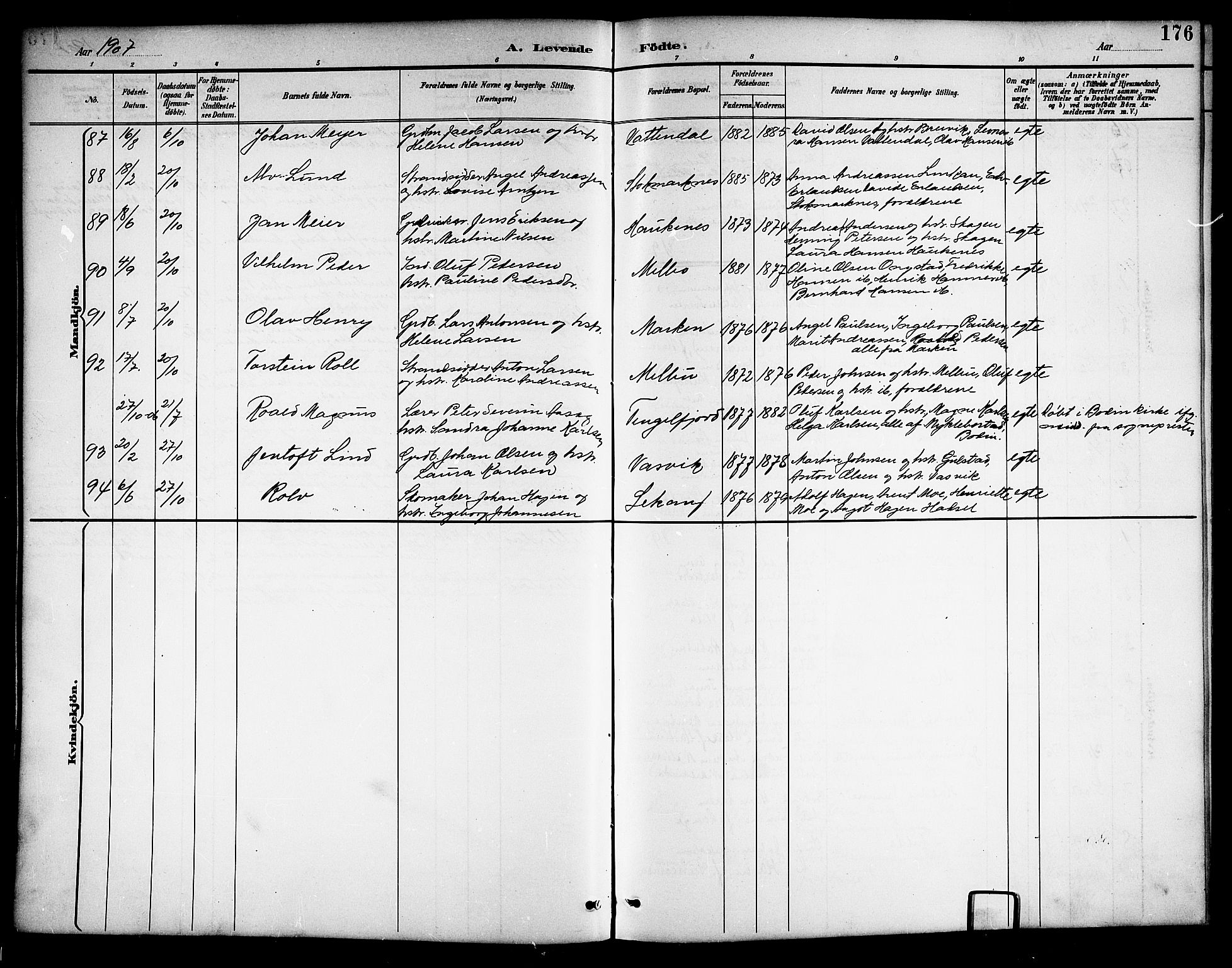 Ministerialprotokoller, klokkerbøker og fødselsregistre - Nordland, AV/SAT-A-1459/888/L1268: Parish register (copy) no. 888C06, 1891-1908, p. 176