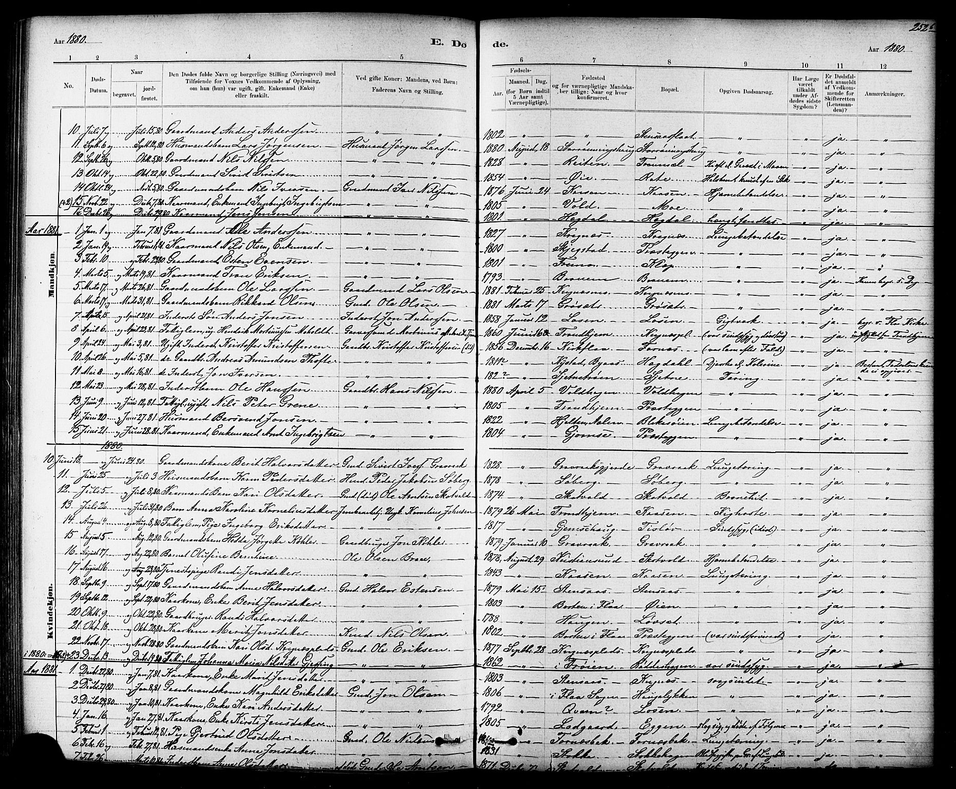 Ministerialprotokoller, klokkerbøker og fødselsregistre - Sør-Trøndelag, SAT/A-1456/691/L1094: Parish register (copy) no. 691C05, 1879-1911, p. 252b
