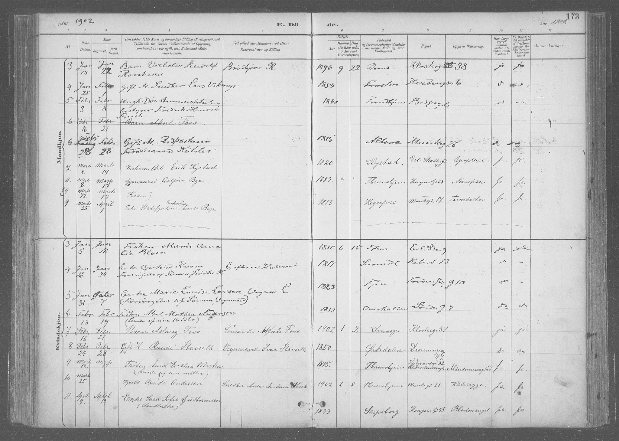 Ministerialprotokoller, klokkerbøker og fødselsregistre - Sør-Trøndelag, SAT/A-1456/601/L0064: Parish register (official) no. 601A31, 1891-1911, p. 173