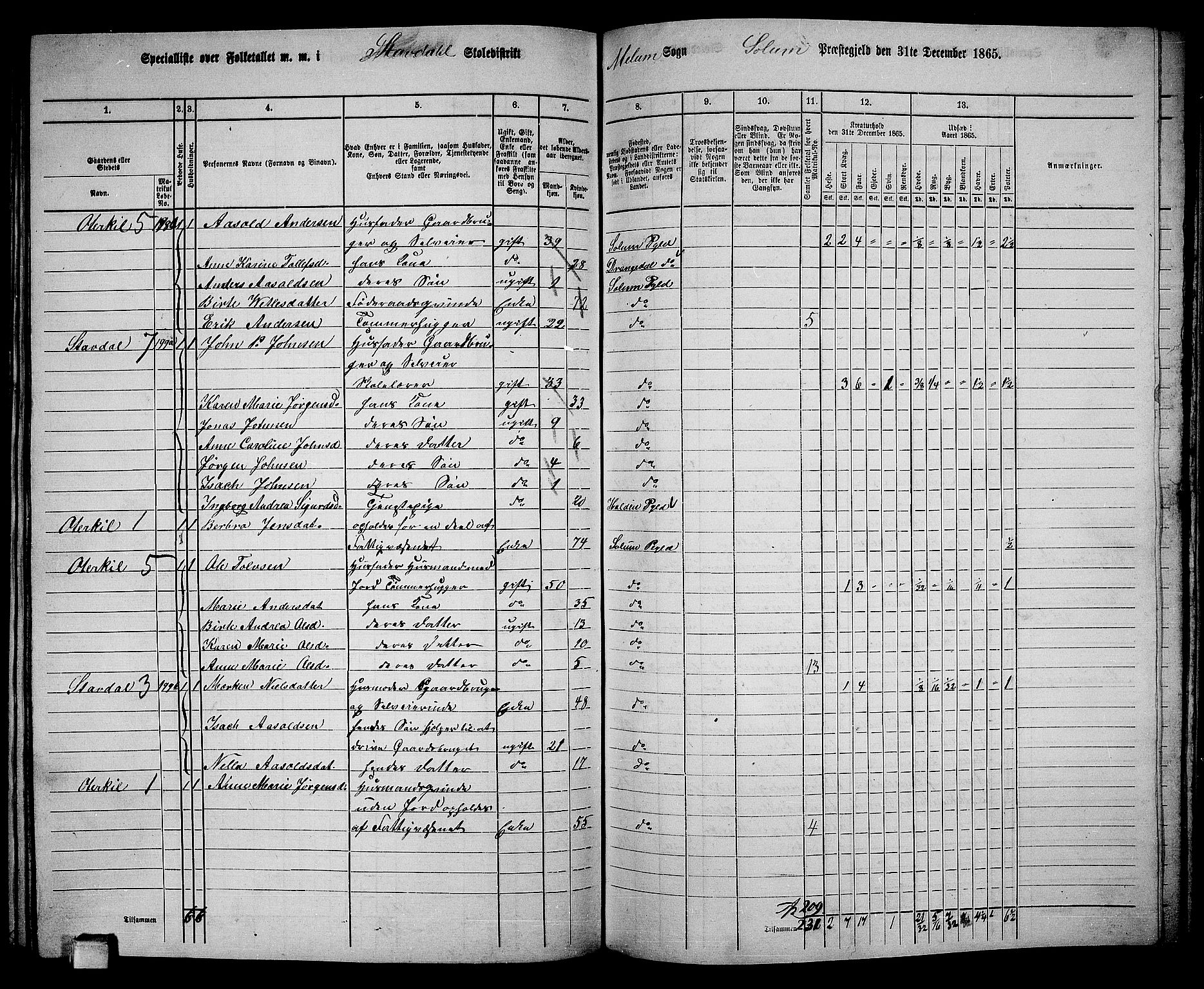 RA, 1865 census for Solum, 1865, p. 167