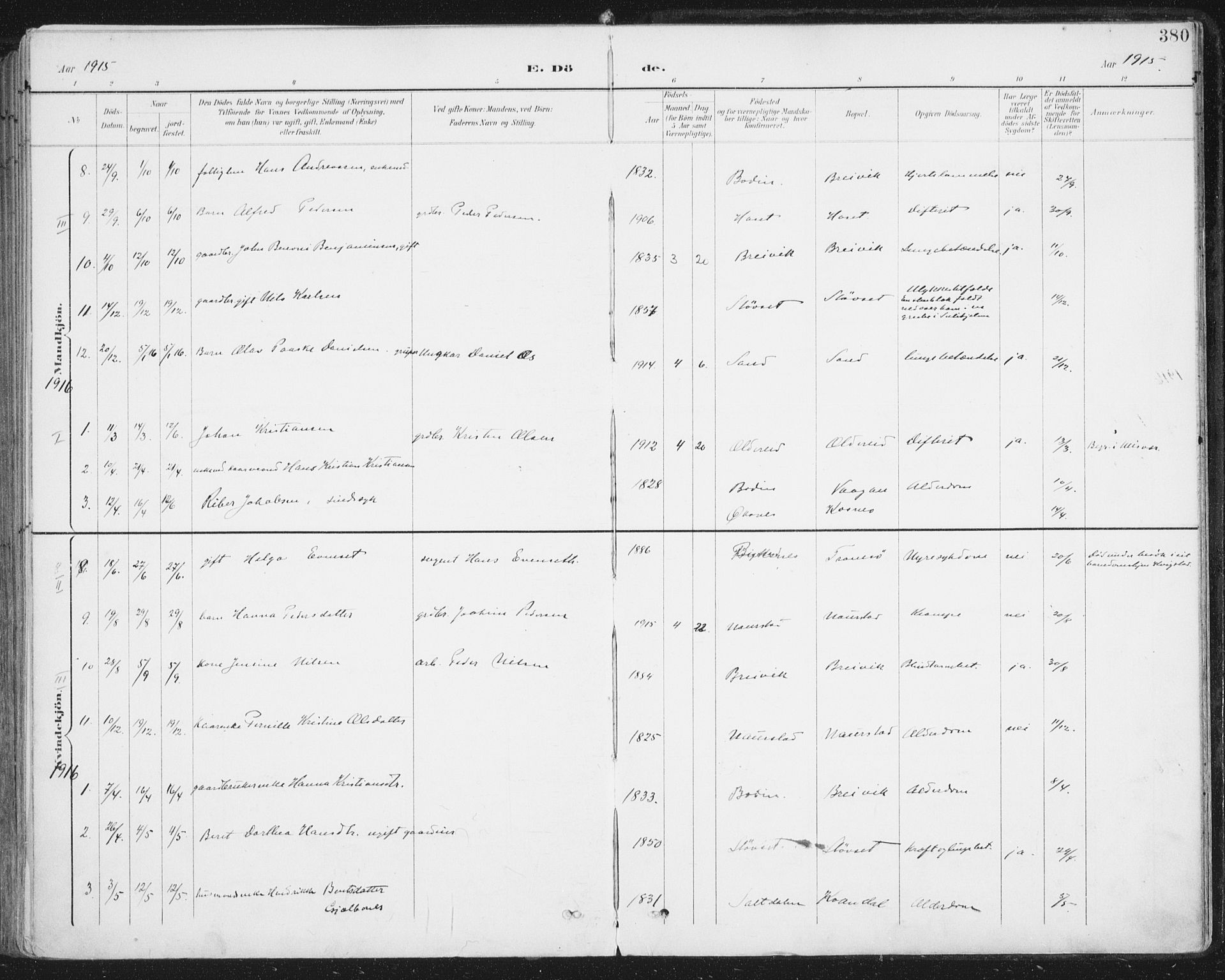 Ministerialprotokoller, klokkerbøker og fødselsregistre - Nordland, SAT/A-1459/852/L0741: Parish register (official) no. 852A11, 1894-1917, p. 380
