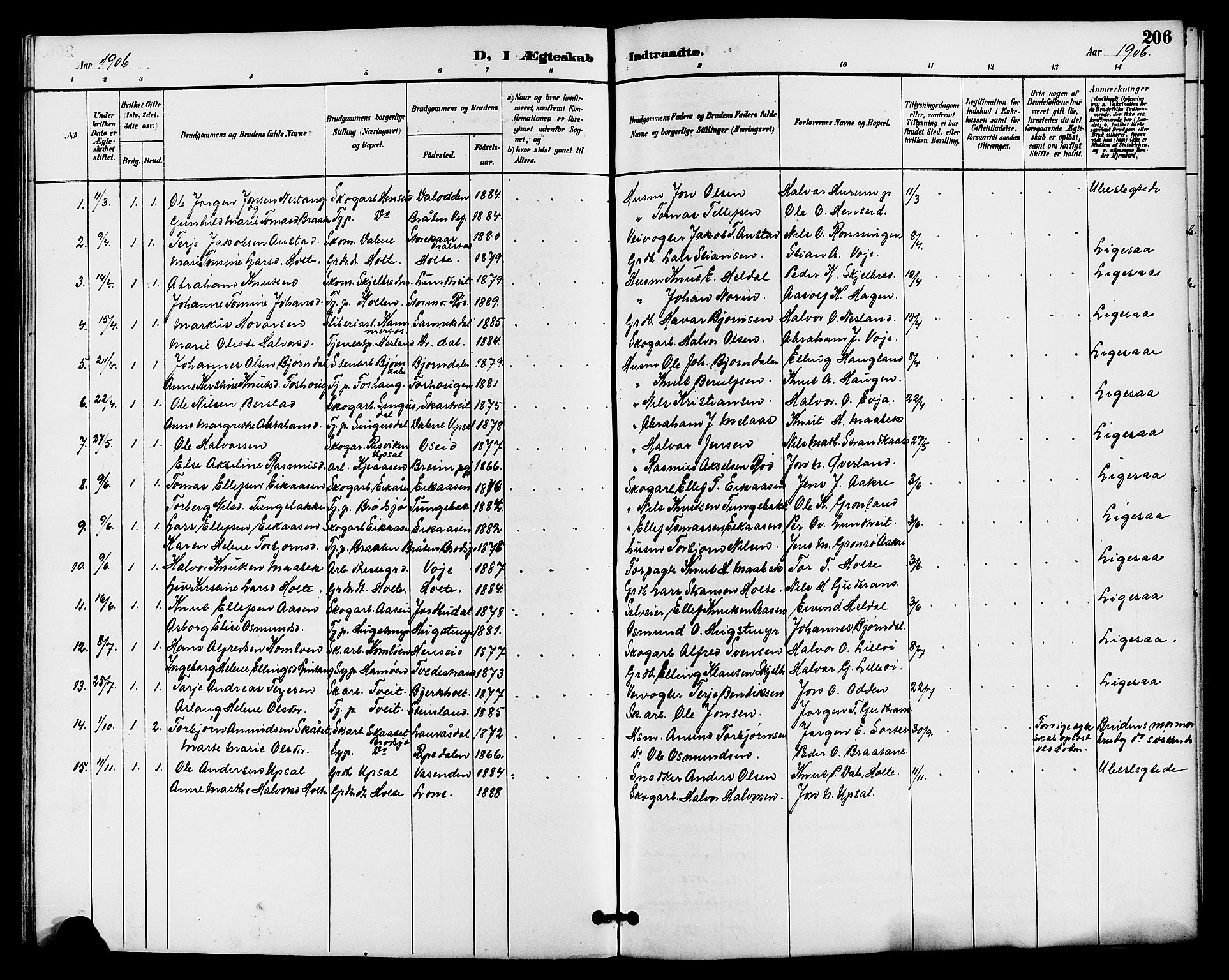 Drangedal kirkebøker, SAKO/A-258/G/Ga/L0003: Parish register (copy) no. I 3, 1887-1906, p. 206