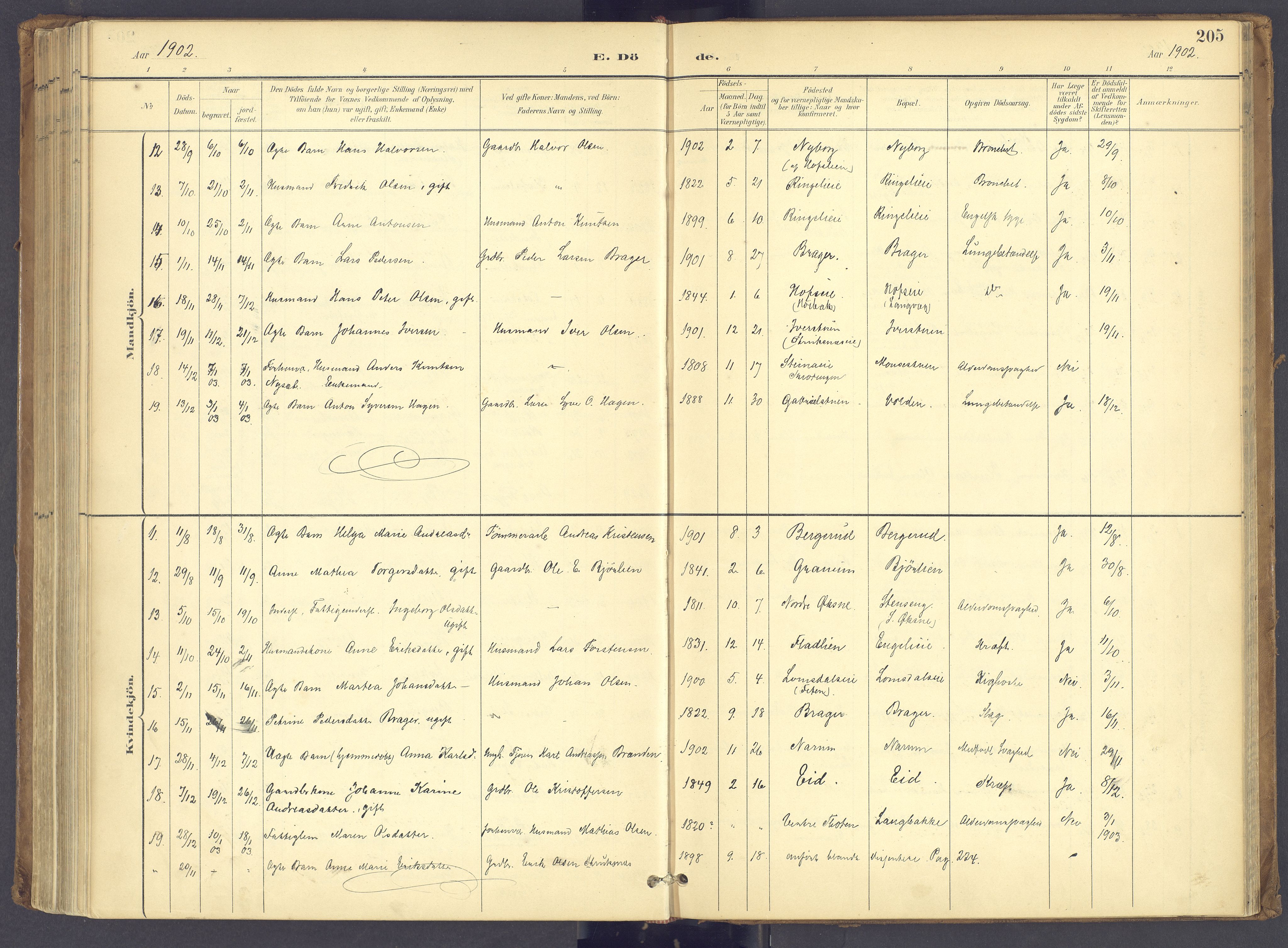 Søndre Land prestekontor, AV/SAH-PREST-122/K/L0006: Parish register (official) no. 6, 1895-1904, p. 205