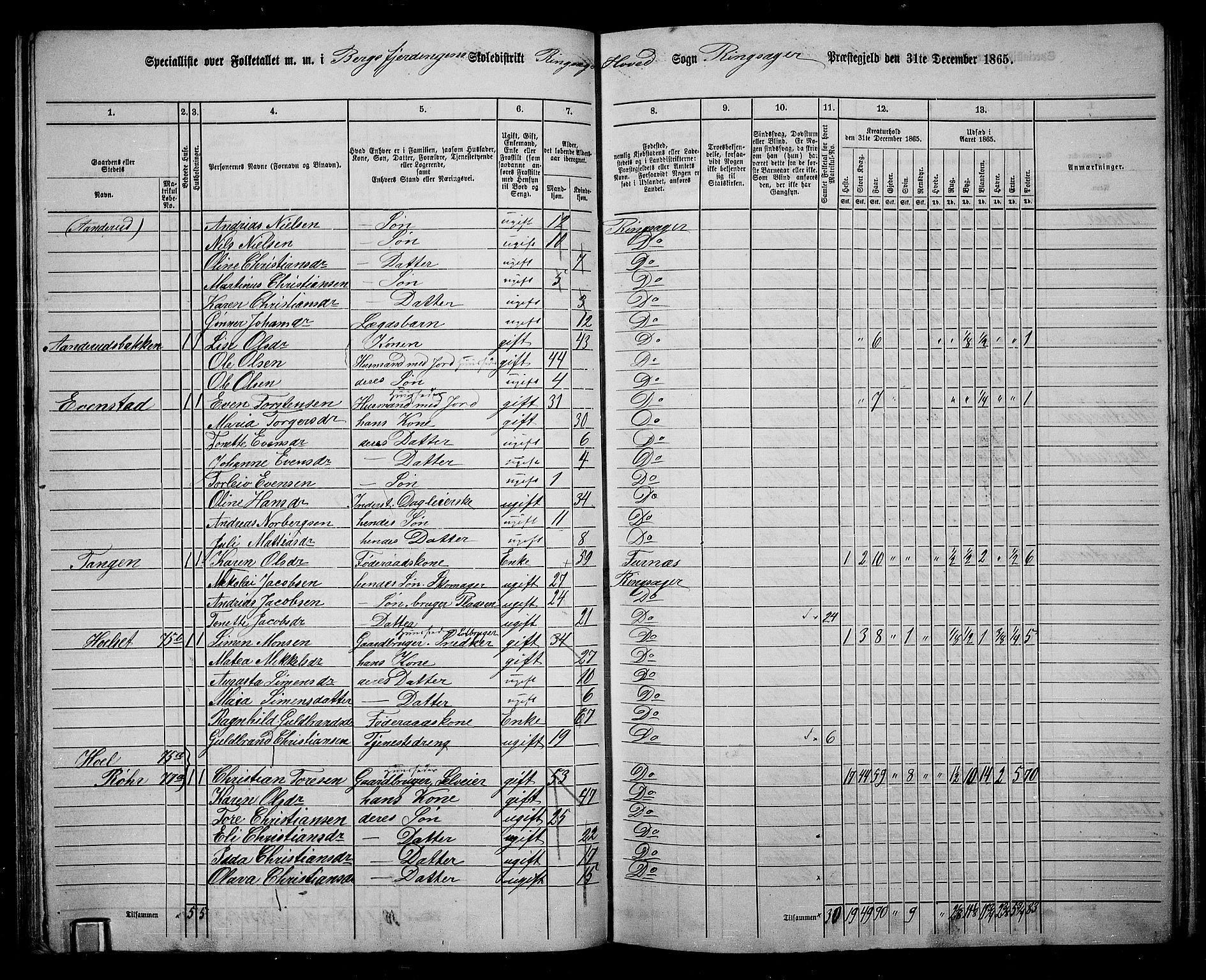 RA, 1865 census for Ringsaker, 1865, p. 89