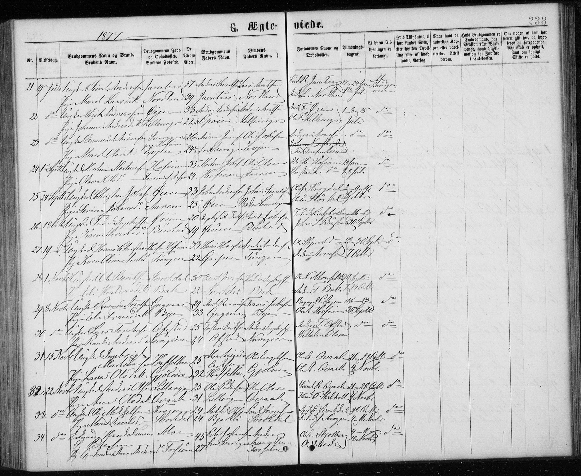 Ministerialprotokoller, klokkerbøker og fødselsregistre - Sør-Trøndelag, AV/SAT-A-1456/668/L0817: Parish register (copy) no. 668C06, 1873-1884, p. 238