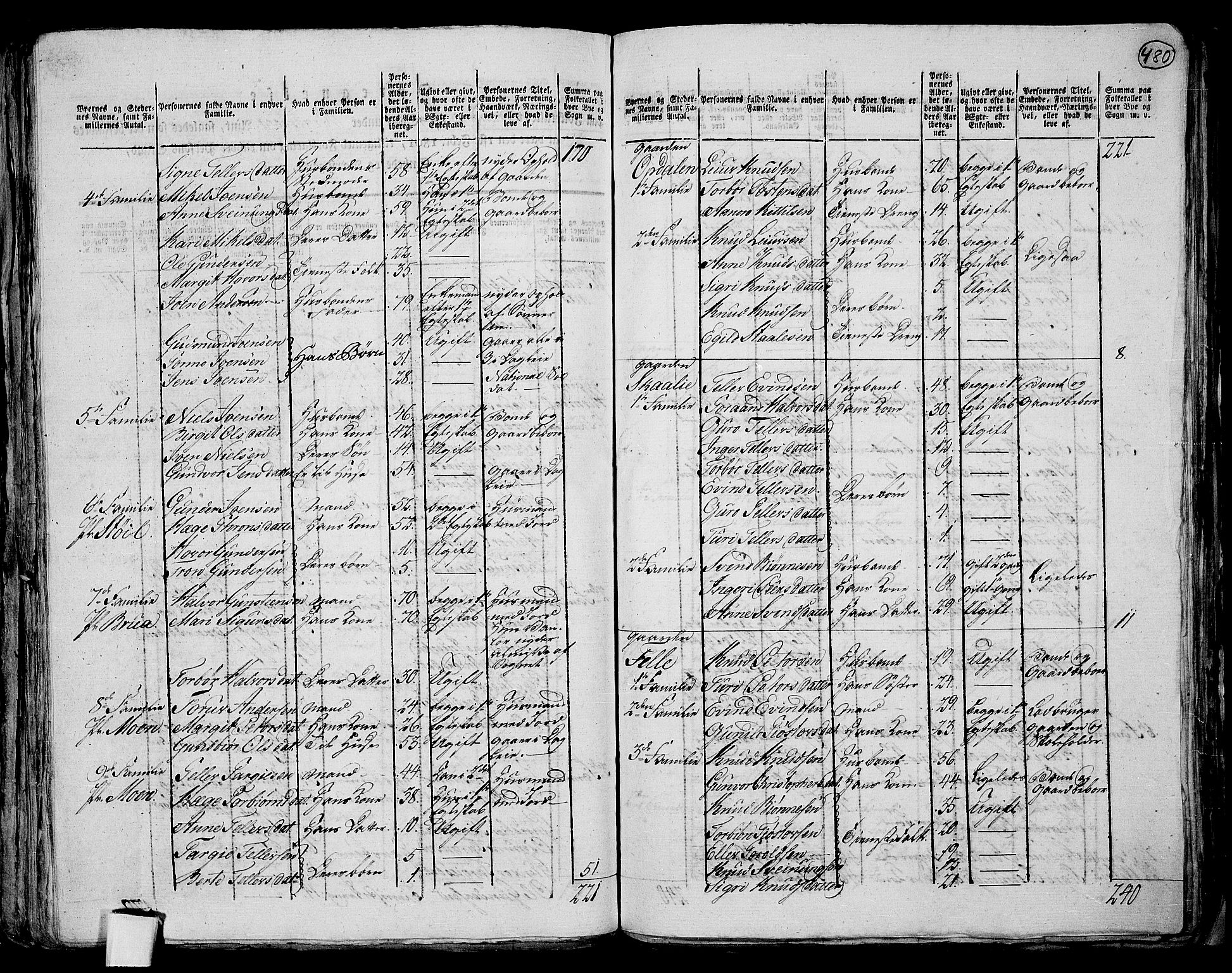 RA, 1801 census for 0829P Kviteseid, 1801, p. 479b-480a