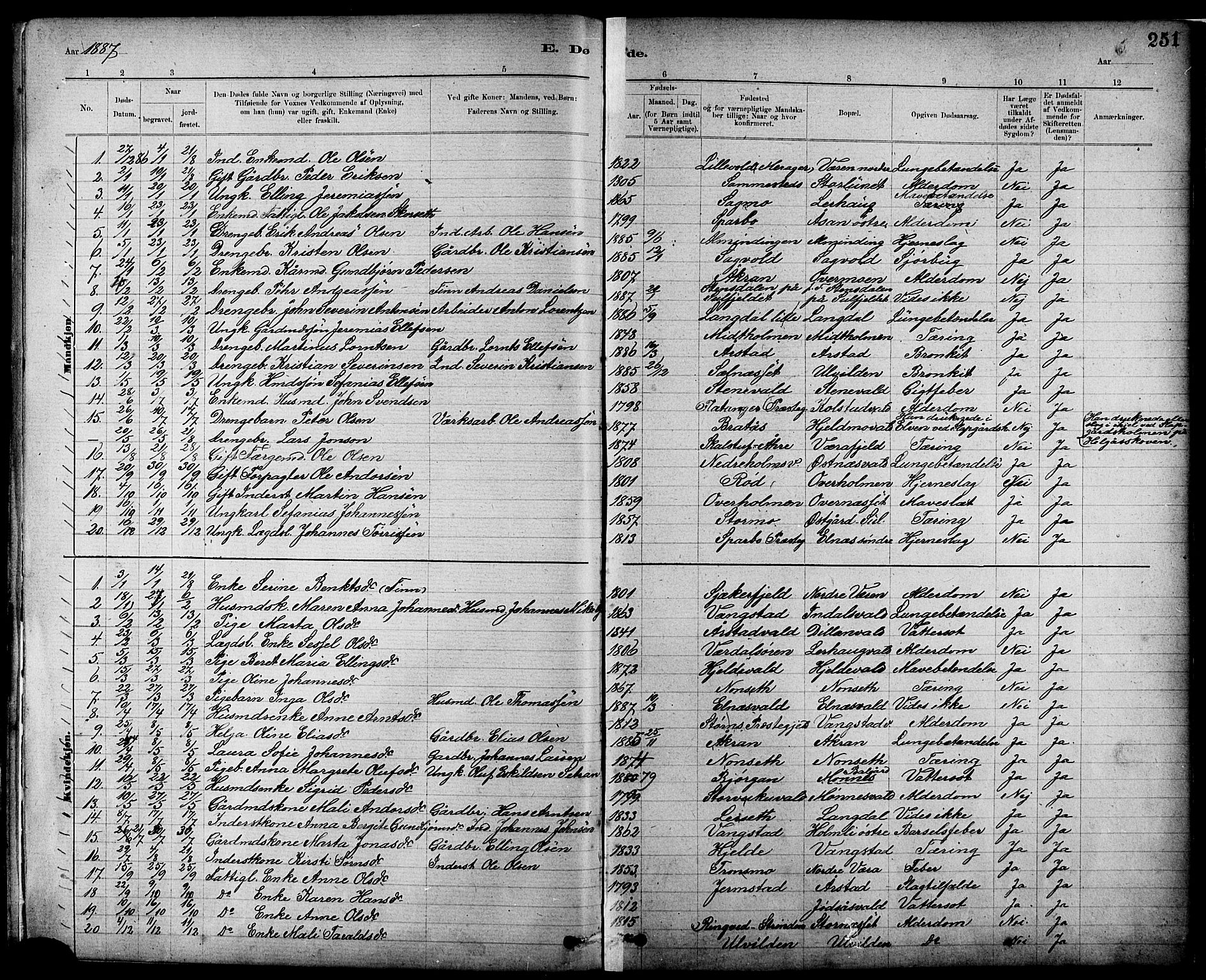 Ministerialprotokoller, klokkerbøker og fødselsregistre - Nord-Trøndelag, SAT/A-1458/724/L0267: Parish register (copy) no. 724C03, 1879-1898, p. 251