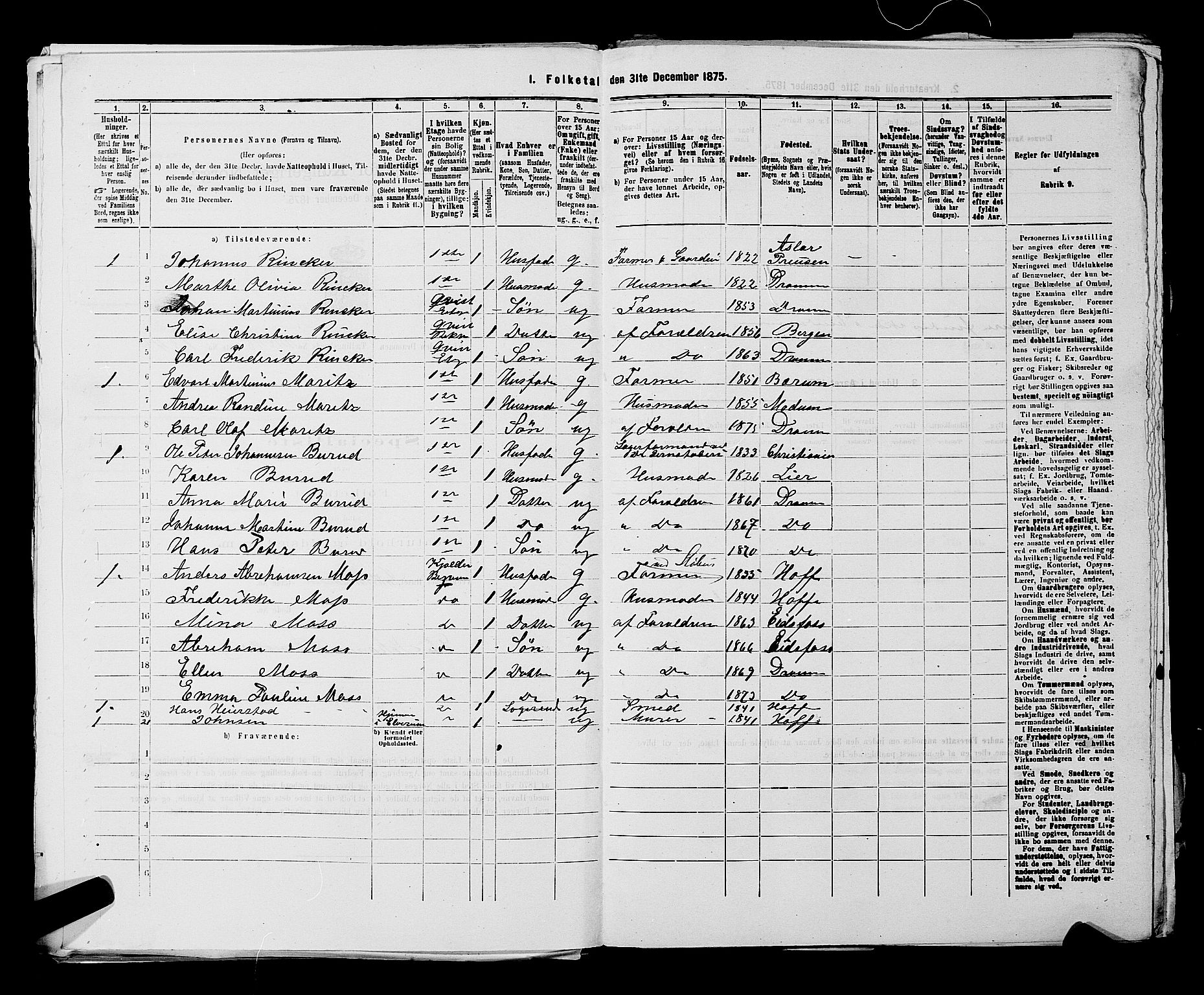 SAKO, 1875 census for 0602 Drammen, 1875, p. 3658