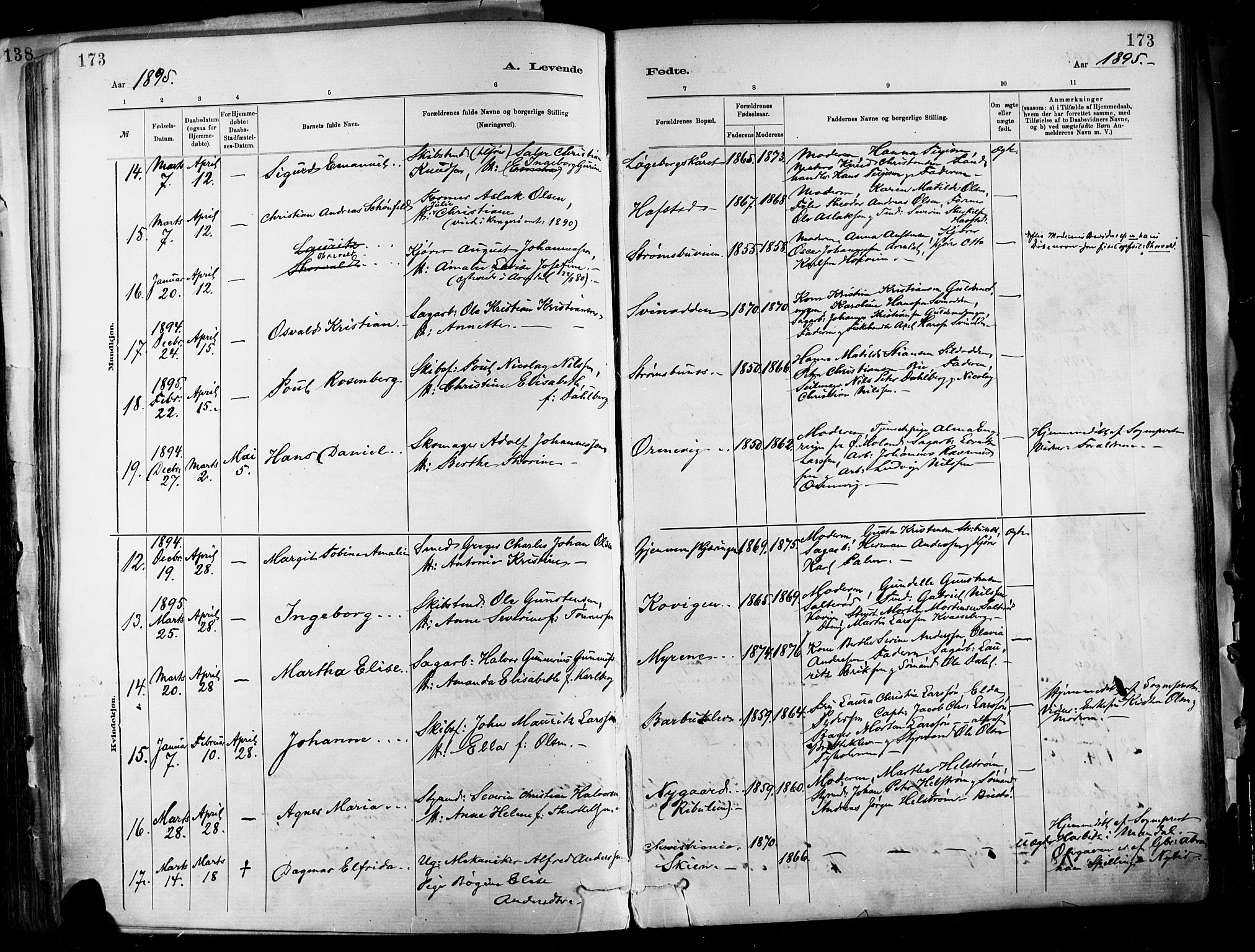 Barbu sokneprestkontor, AV/SAK-1111-0003/F/Fa/L0002: Parish register (official) no. A 2, 1883-1898, p. 173