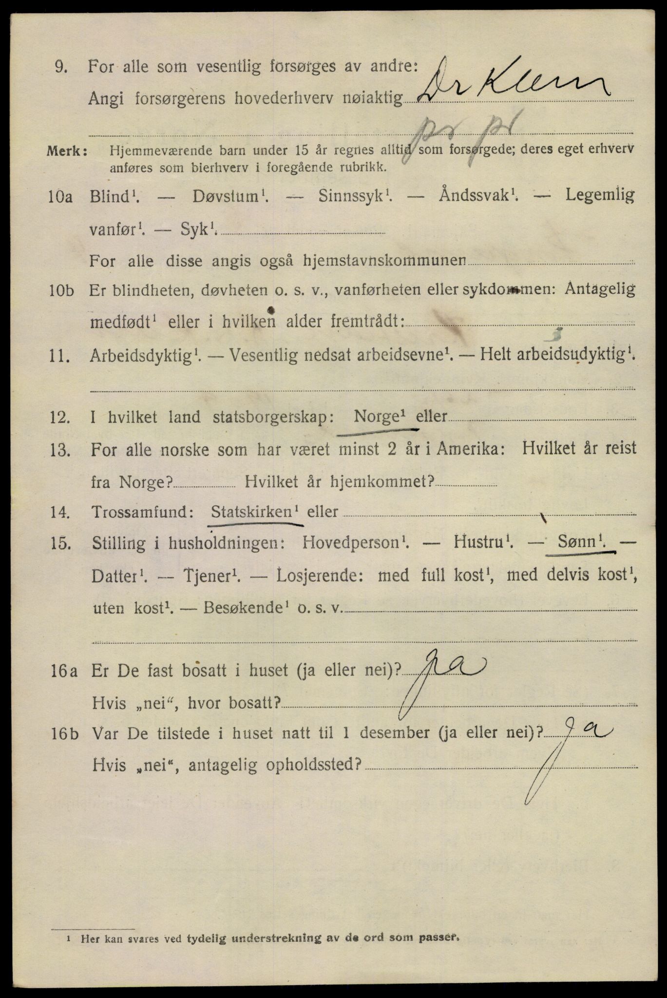 SAKO, 1920 census for Porsgrunn, 1920, p. 22338