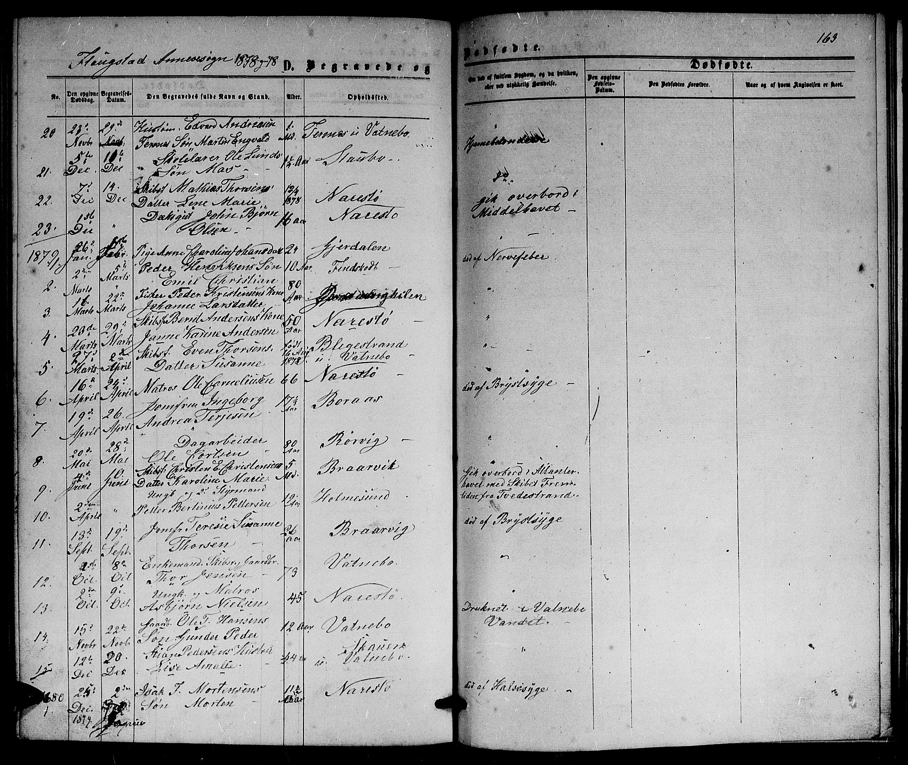 Dypvåg sokneprestkontor, AV/SAK-1111-0007/F/Fb/Fbb/L0003: Parish register (copy) no. B 3, 1872-1886, p. 163