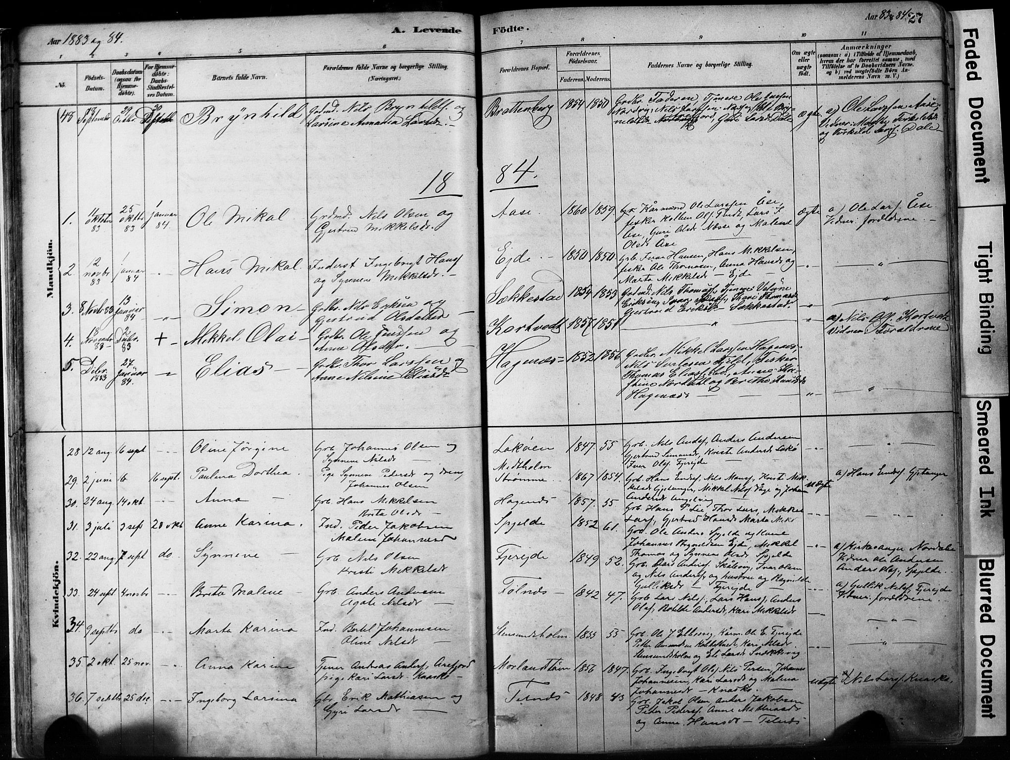 Fjell sokneprestembete, SAB/A-75301/H/Hab: Parish register (copy) no. A 4, 1880-1899, p. 27