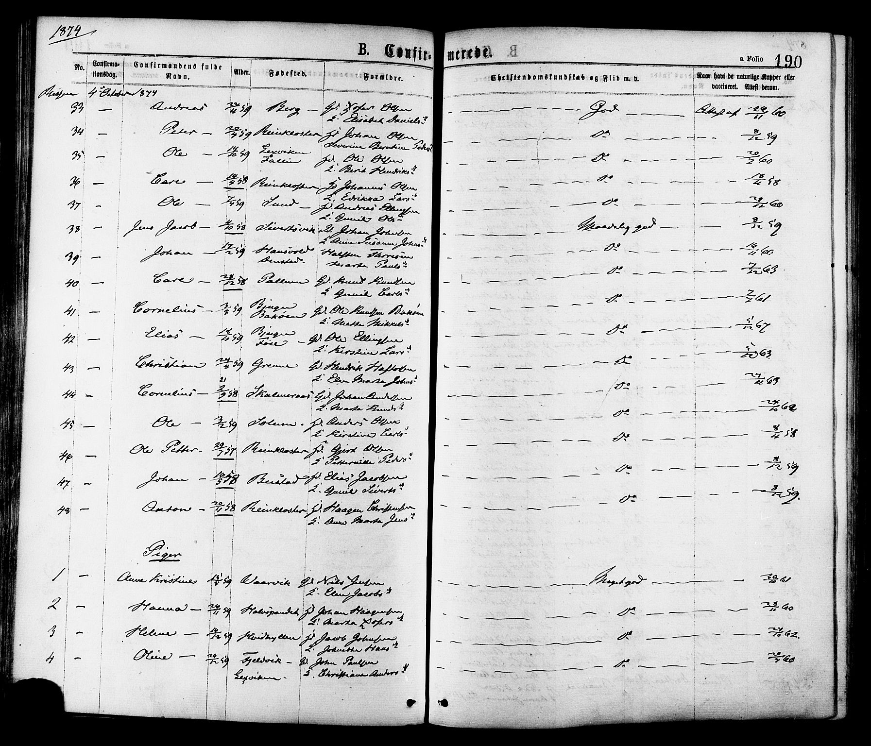 Ministerialprotokoller, klokkerbøker og fødselsregistre - Sør-Trøndelag, AV/SAT-A-1456/646/L0613: Parish register (official) no. 646A11, 1870-1884, p. 190