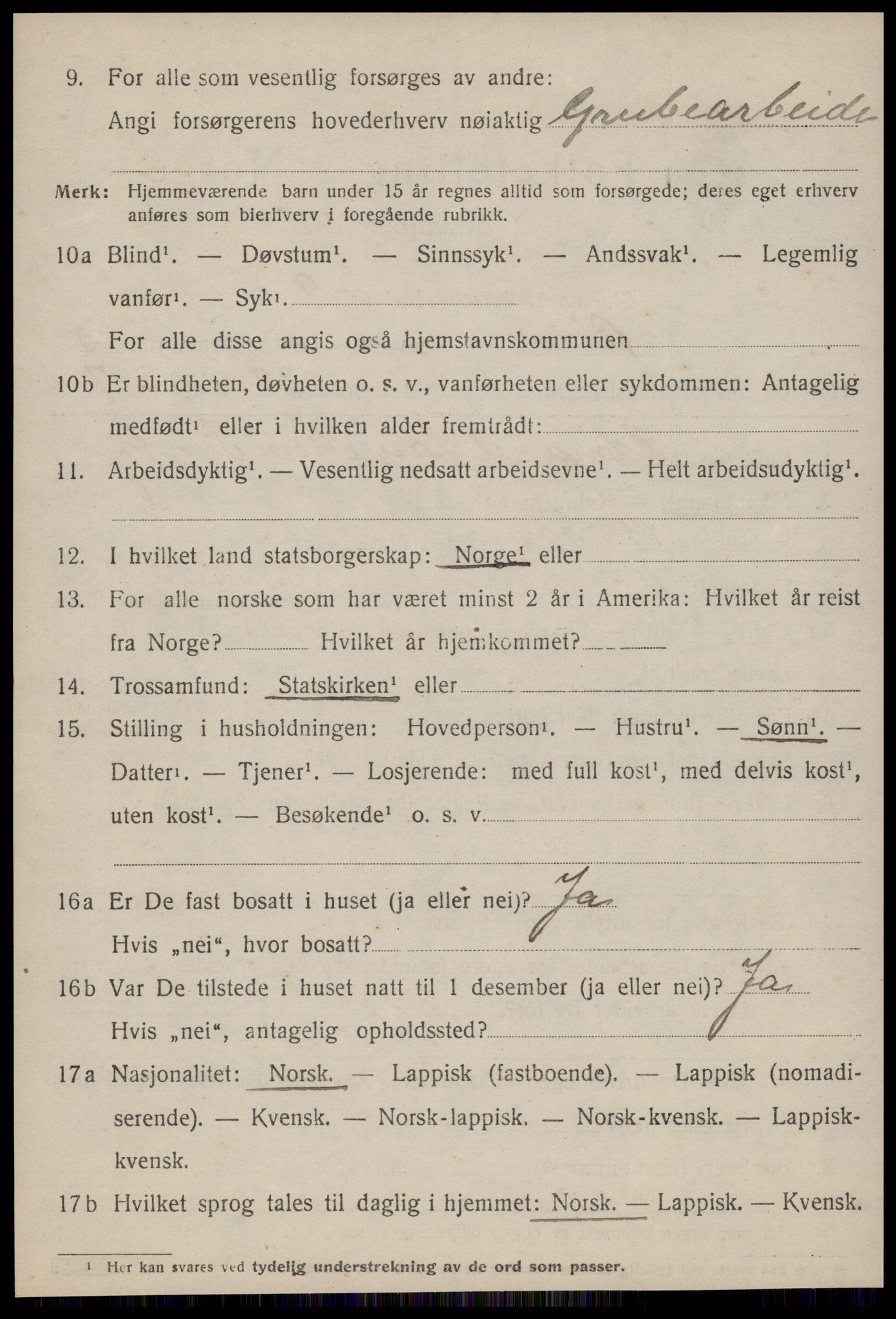 SAT, 1920 census for Røros, 1920, p. 8179