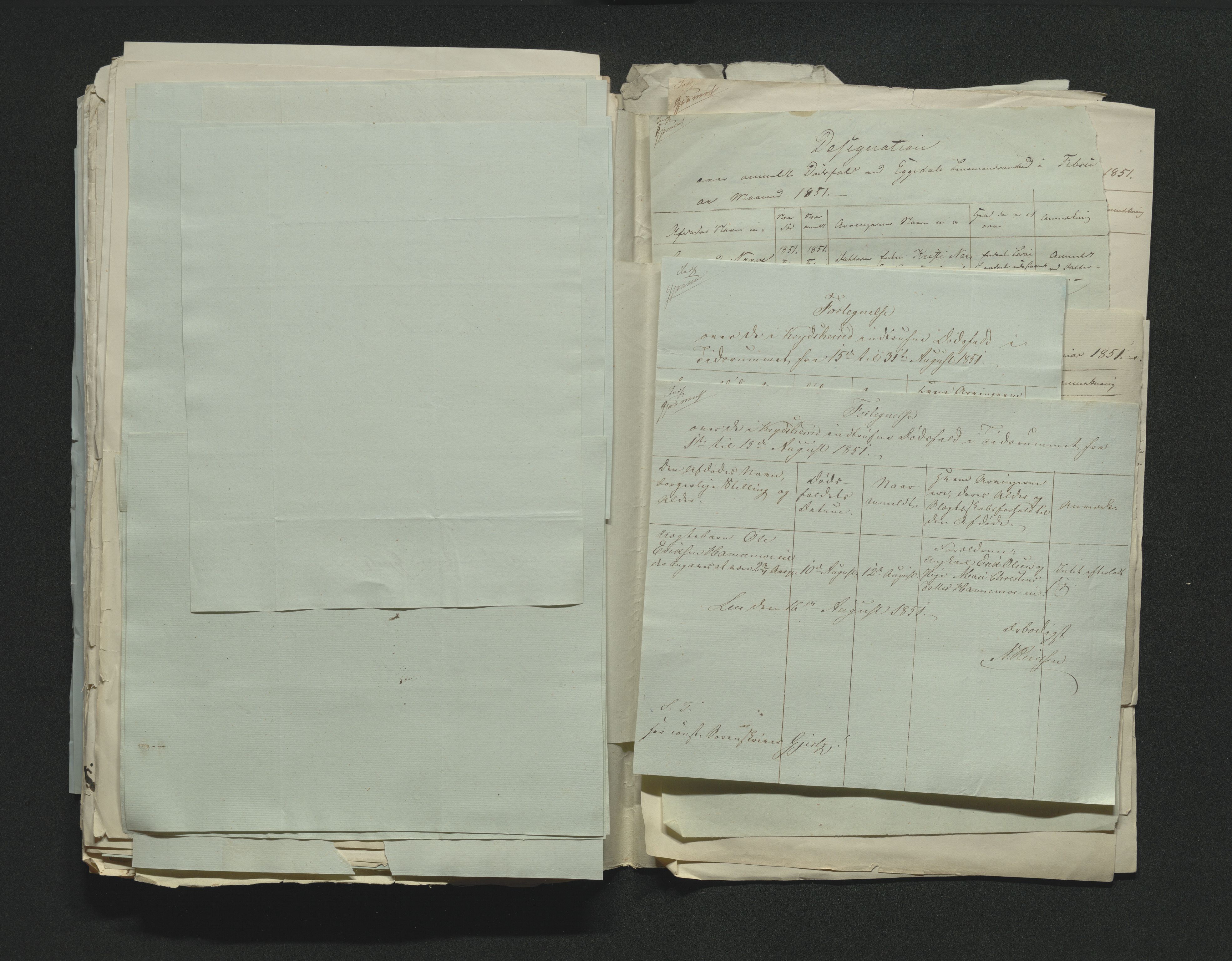 Eiker, Modum og Sigdal sorenskriveri, AV/SAKO-A-123/H/Ha/Hab/L0008: Dødsfallsmeldinger, 1850-1853