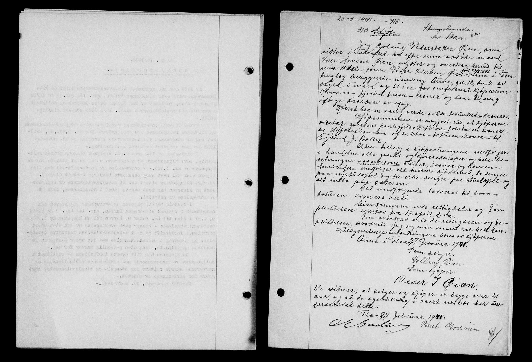 Gauldal sorenskriveri, SAT/A-0014/1/2/2C/L0052: Mortgage book no. 57, 1940-1941, Diary no: : 313/1941