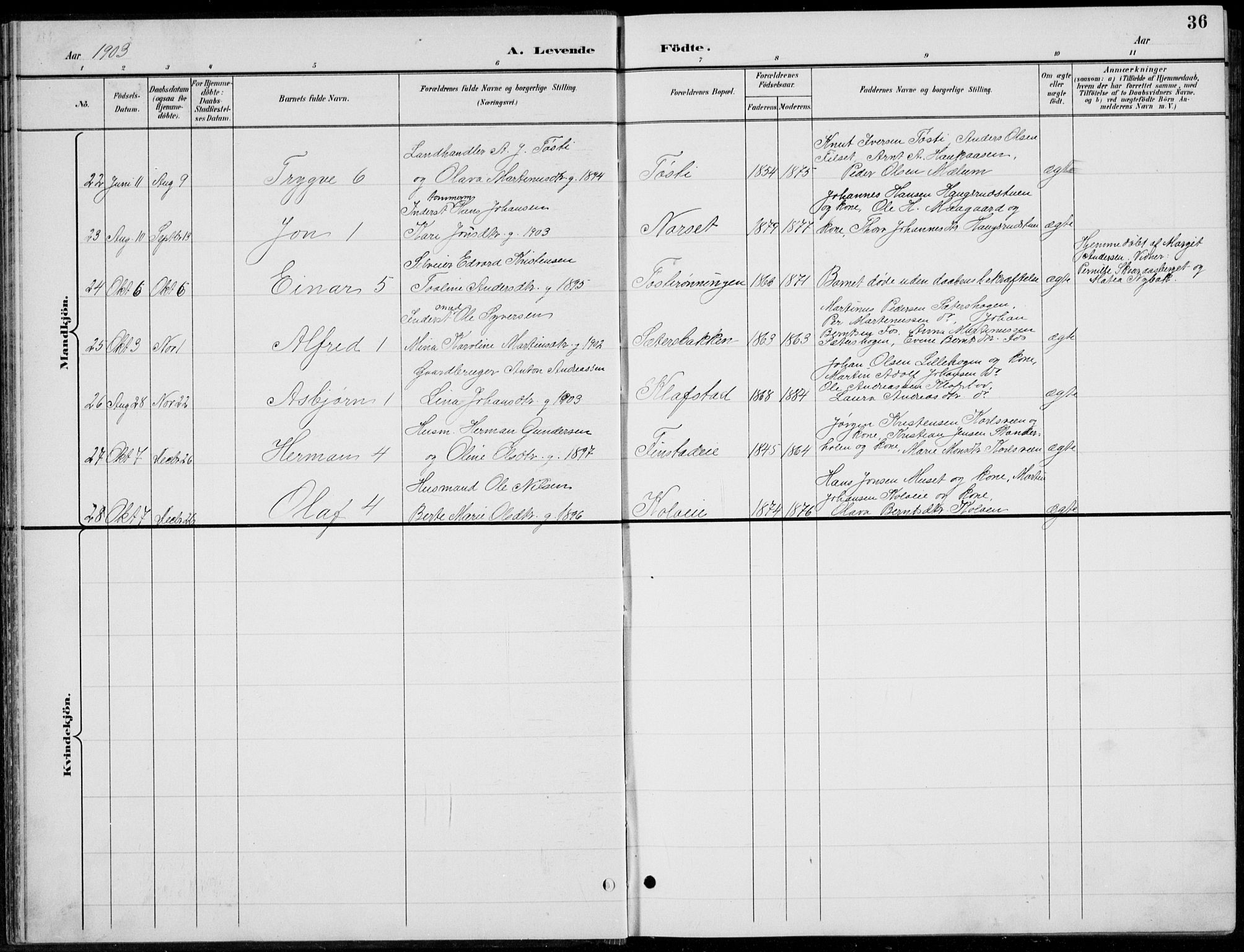 Romedal prestekontor, AV/SAH-PREST-004/L/L0013: Parish register (copy) no. 13, 1896-1937, p. 36