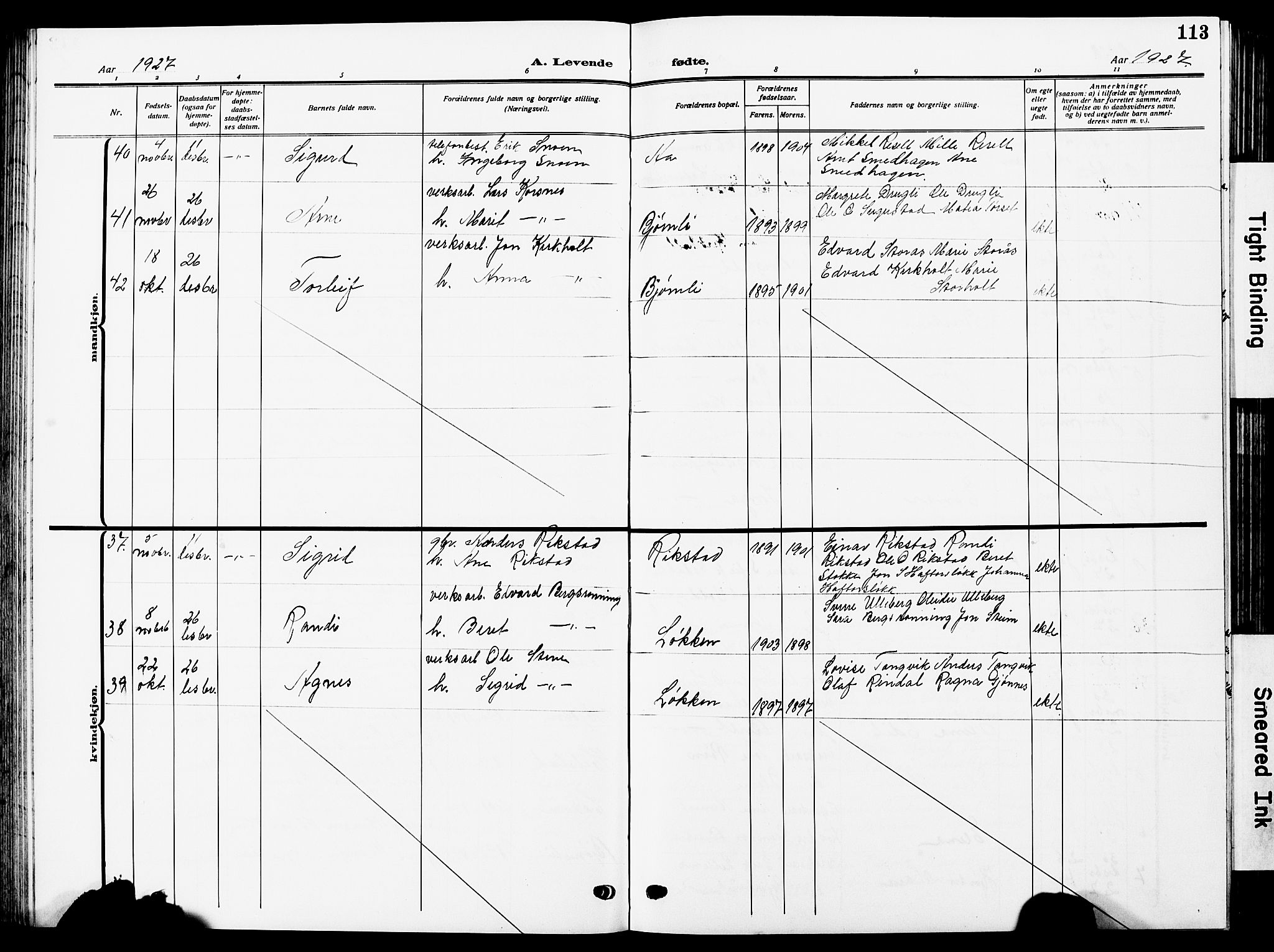 Ministerialprotokoller, klokkerbøker og fødselsregistre - Sør-Trøndelag, SAT/A-1456/672/L0865: Parish register (copy) no. 672C04, 1914-1928, p. 113
