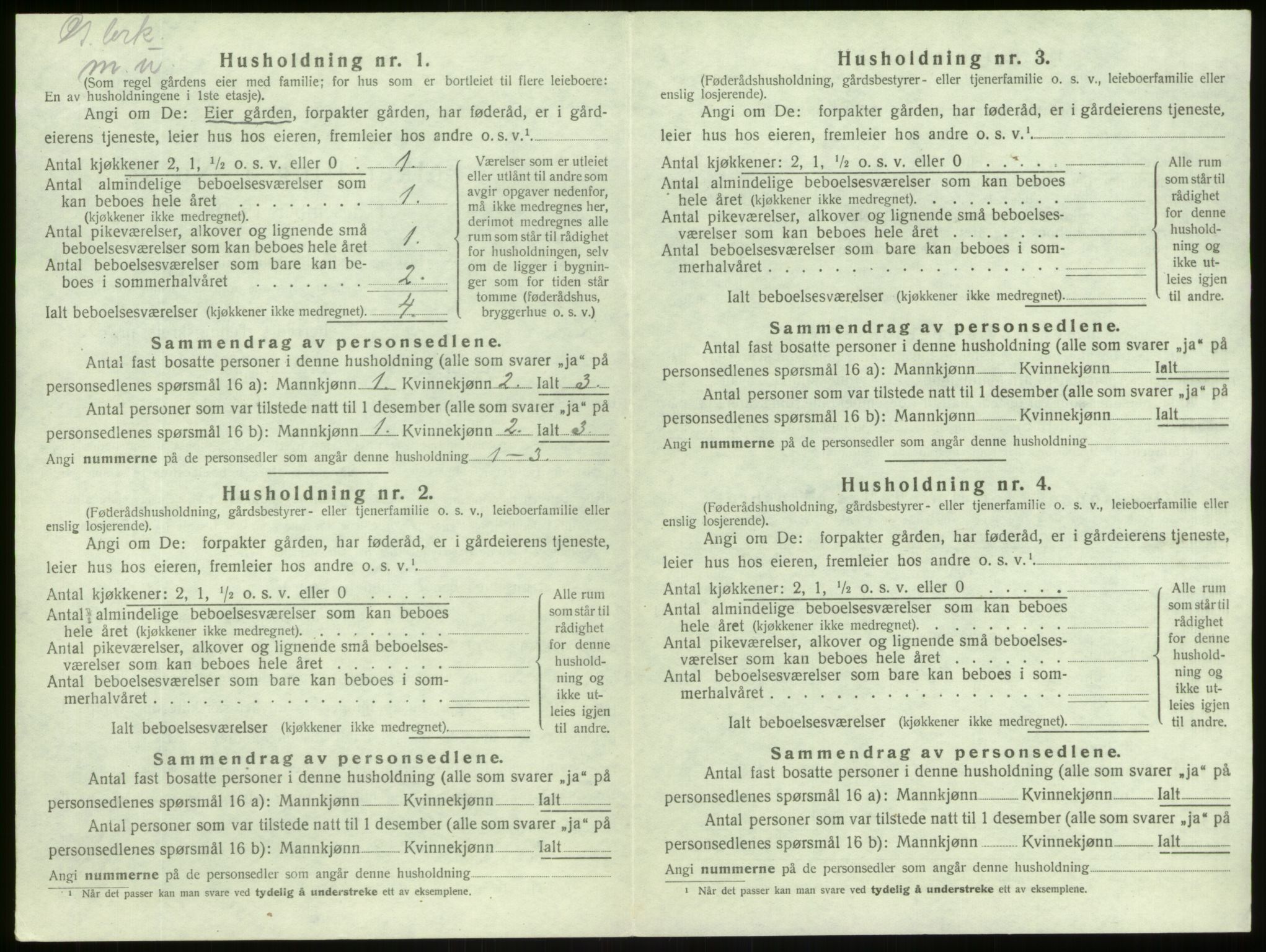 SAB, 1920 census for Lærdal, 1920, p. 308