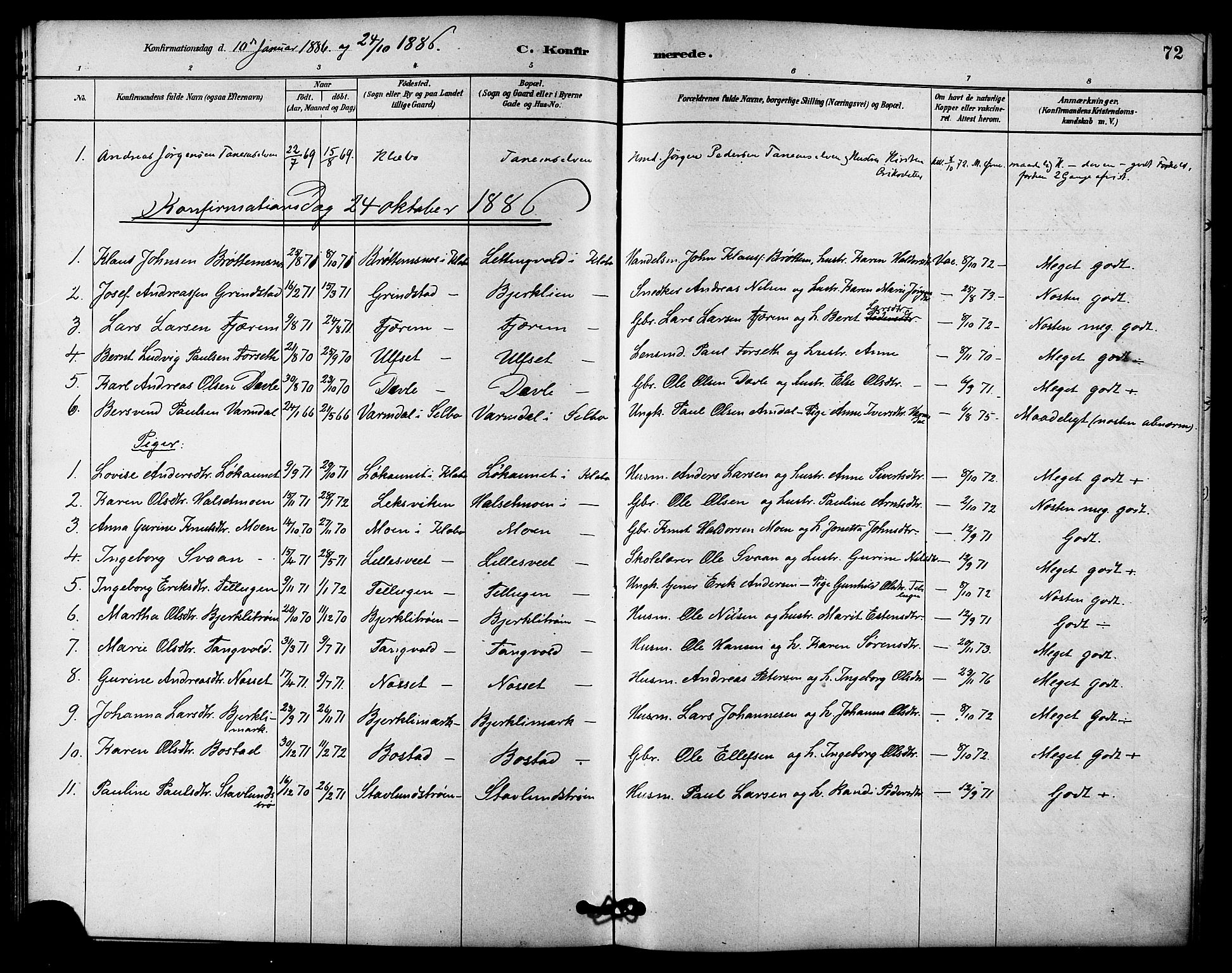 Ministerialprotokoller, klokkerbøker og fødselsregistre - Sør-Trøndelag, SAT/A-1456/618/L0444: Parish register (official) no. 618A07, 1880-1898, p. 72