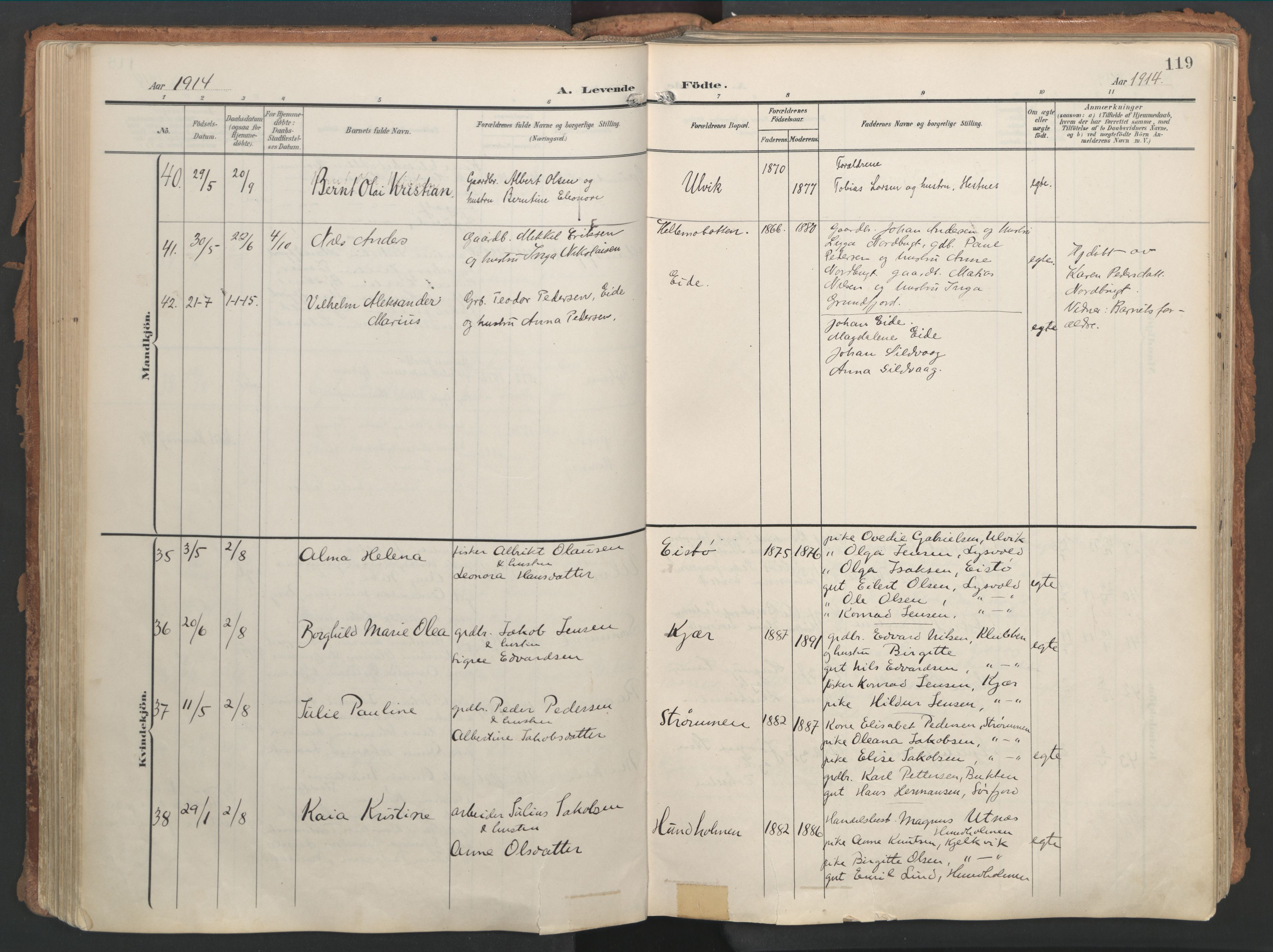 Ministerialprotokoller, klokkerbøker og fødselsregistre - Nordland, AV/SAT-A-1459/861/L0871: Parish register (official) no. 861A06, 1903-1916, p. 119