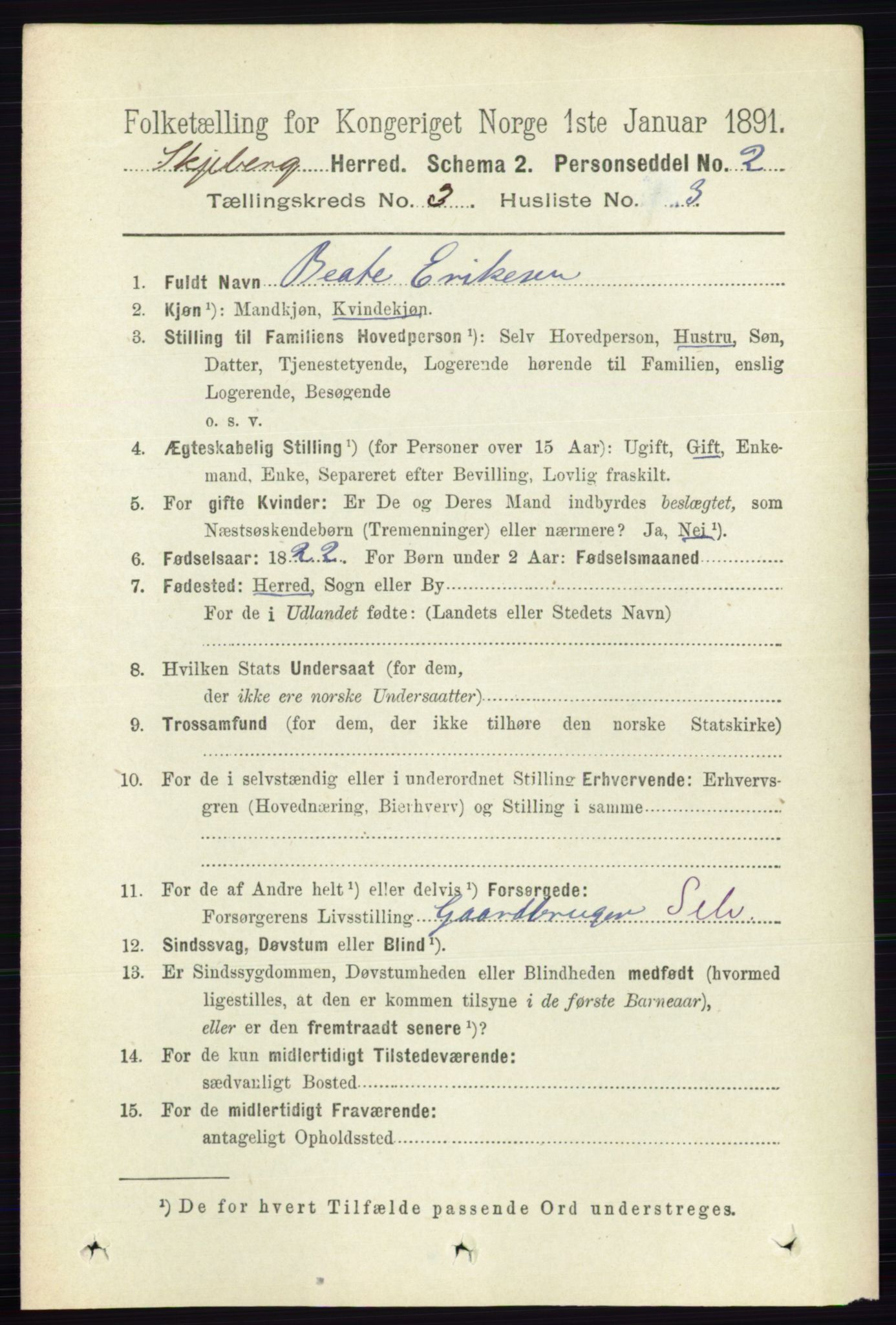 RA, 1891 census for 0115 Skjeberg, 1891, p. 1500