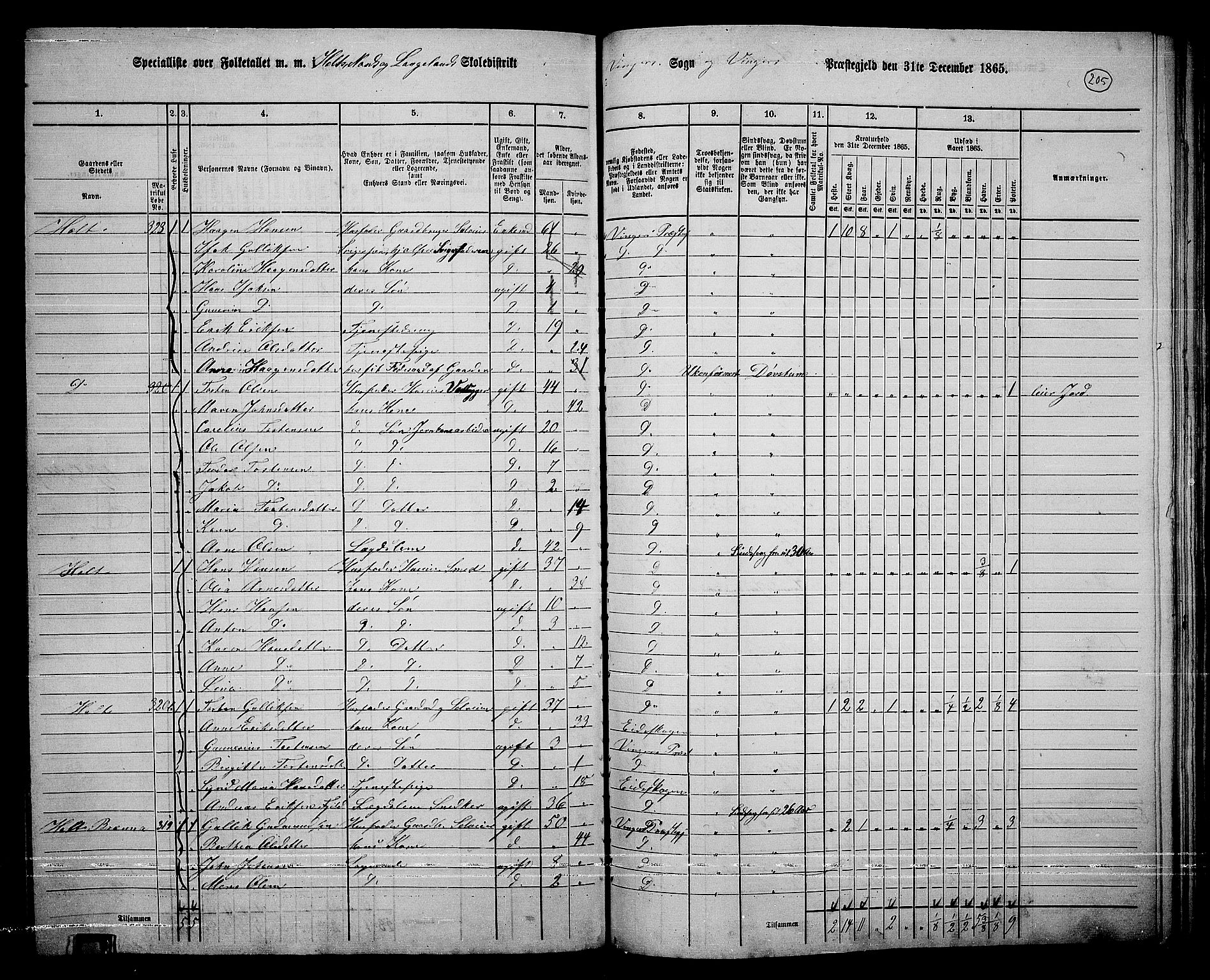 RA, 1865 census for Vinger/Vinger og Austmarka, 1865, p. 187