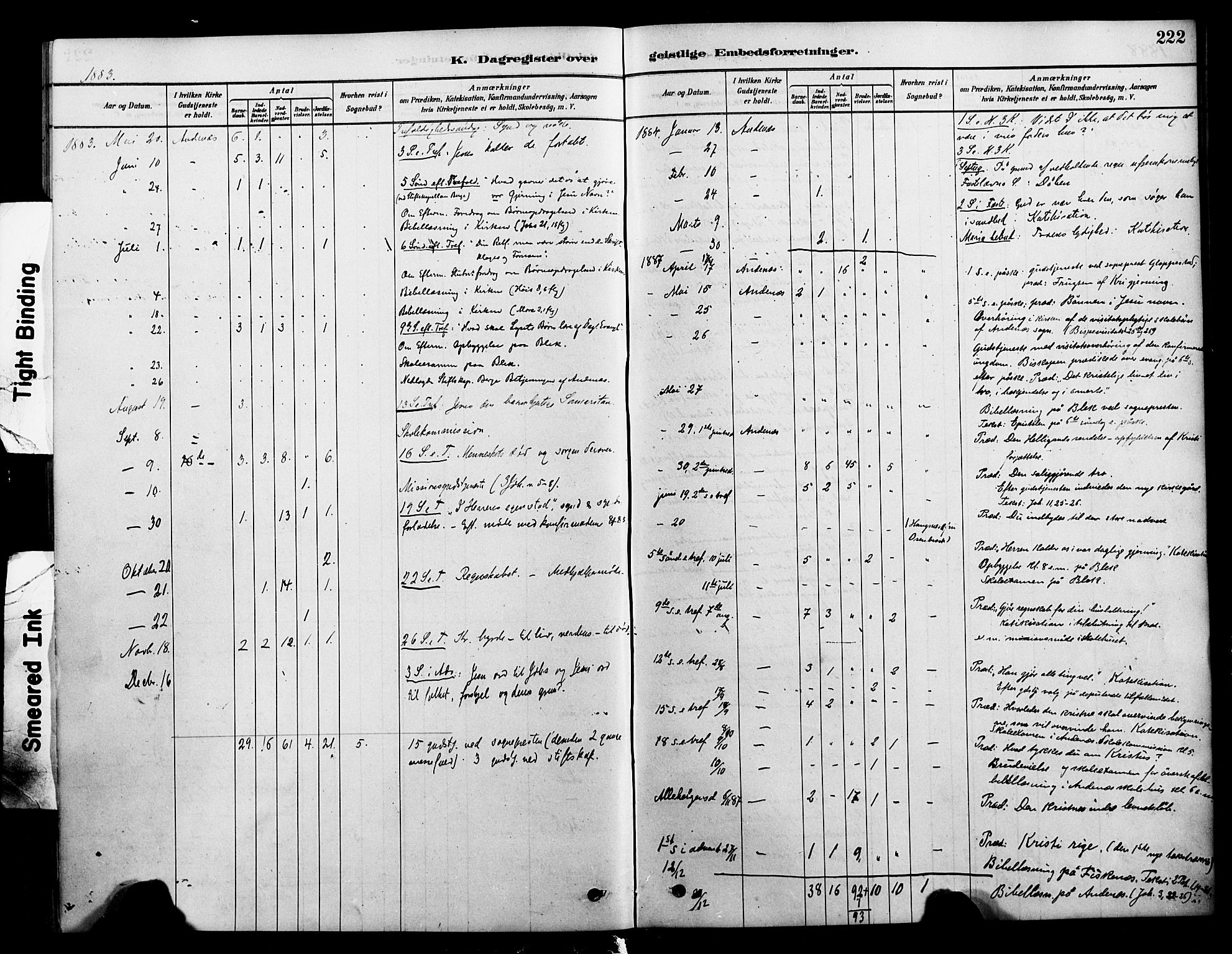 Ministerialprotokoller, klokkerbøker og fødselsregistre - Nordland, AV/SAT-A-1459/899/L1436: Parish register (official) no. 899A04, 1881-1896, p. 222