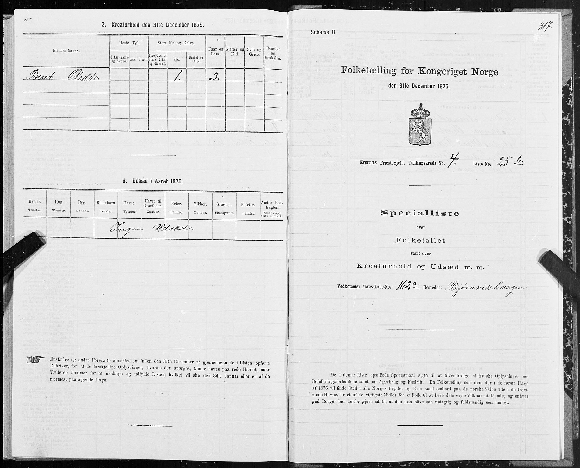 SAT, 1875 census for 1553P Kvernes, 1875, p. 2317