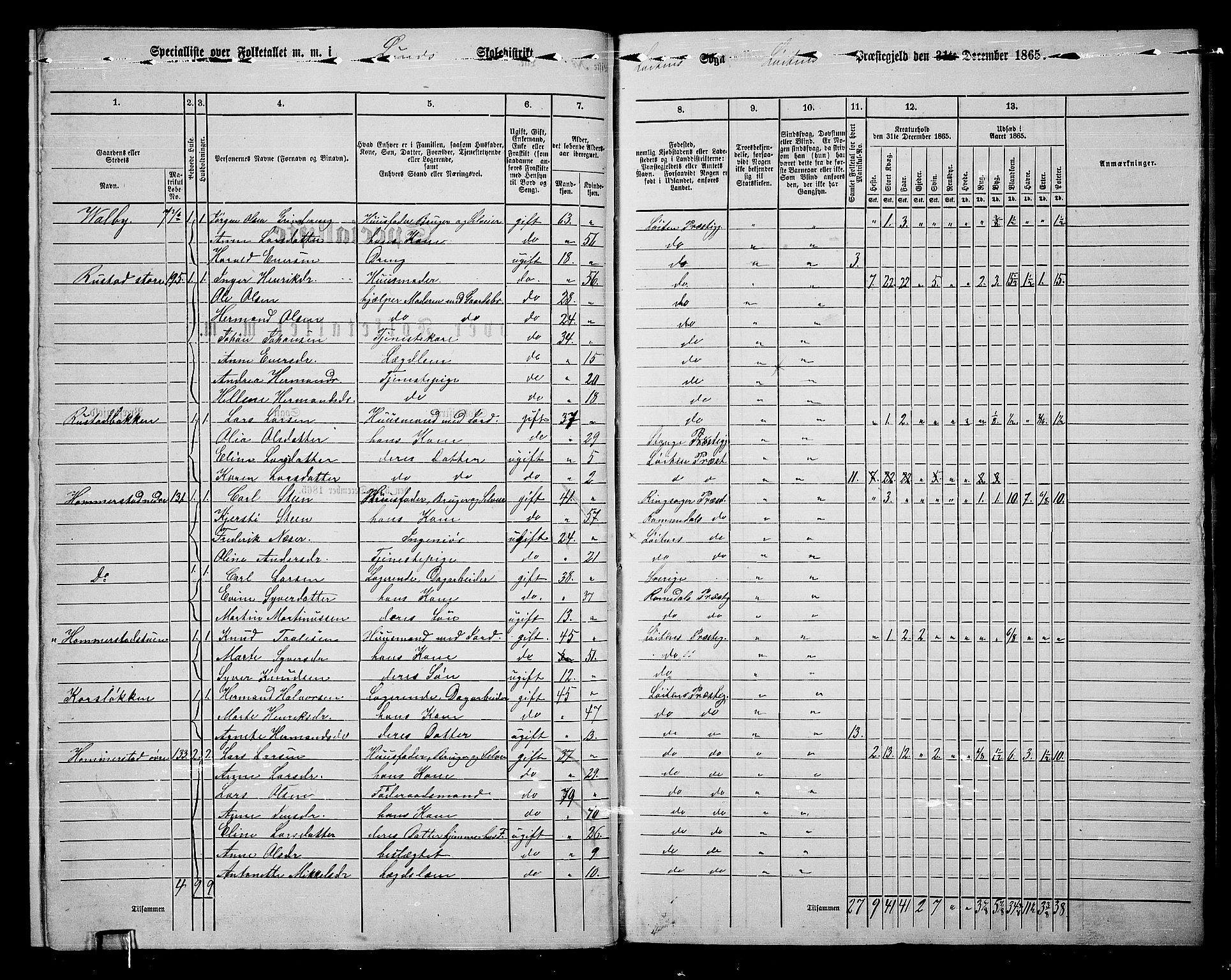 RA, 1865 census for Løten, 1865, p. 14