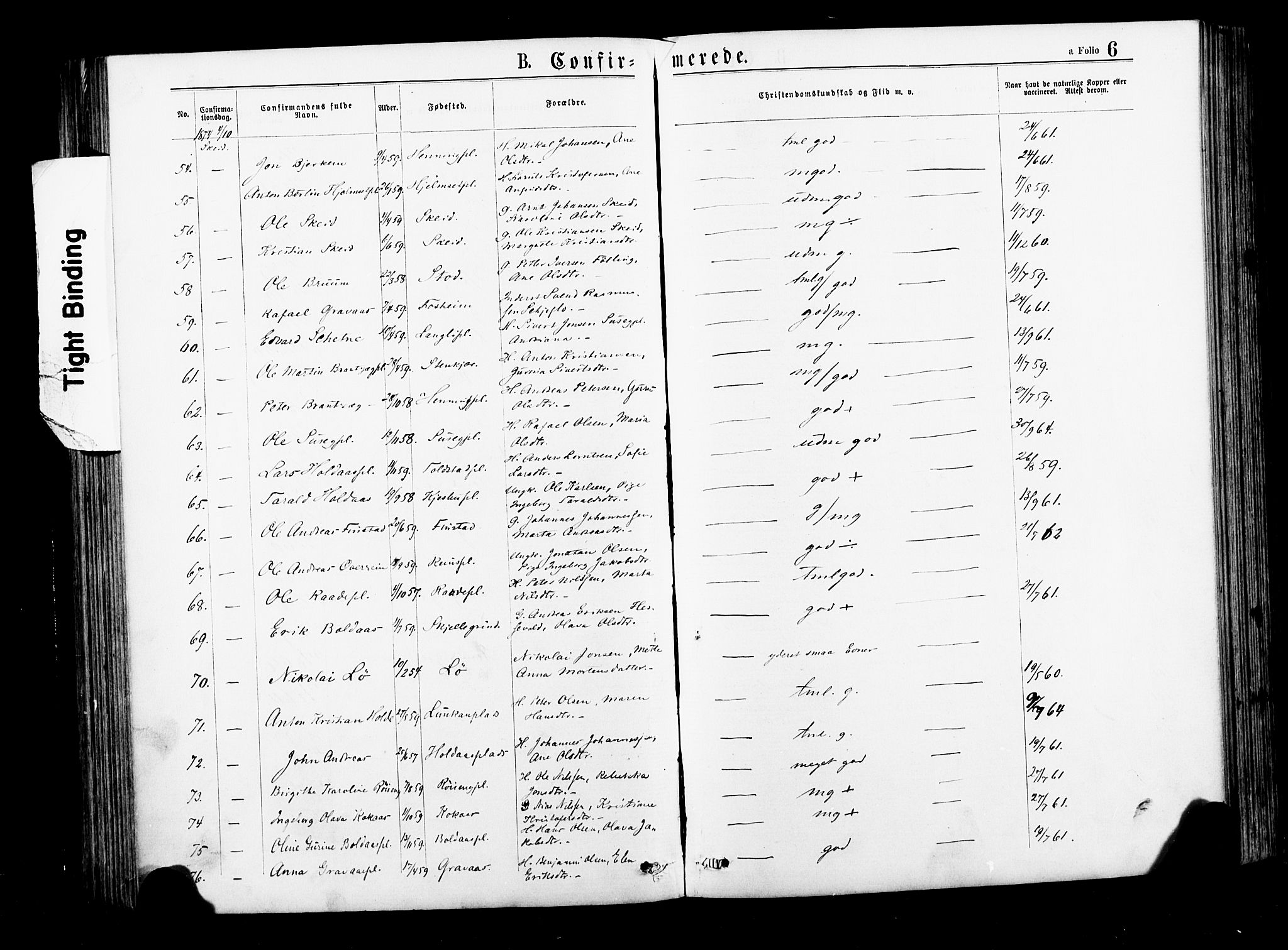 Ministerialprotokoller, klokkerbøker og fødselsregistre - Nord-Trøndelag, SAT/A-1458/735/L0348: Parish register (official) no. 735A09 /1, 1873-1883, p. 6