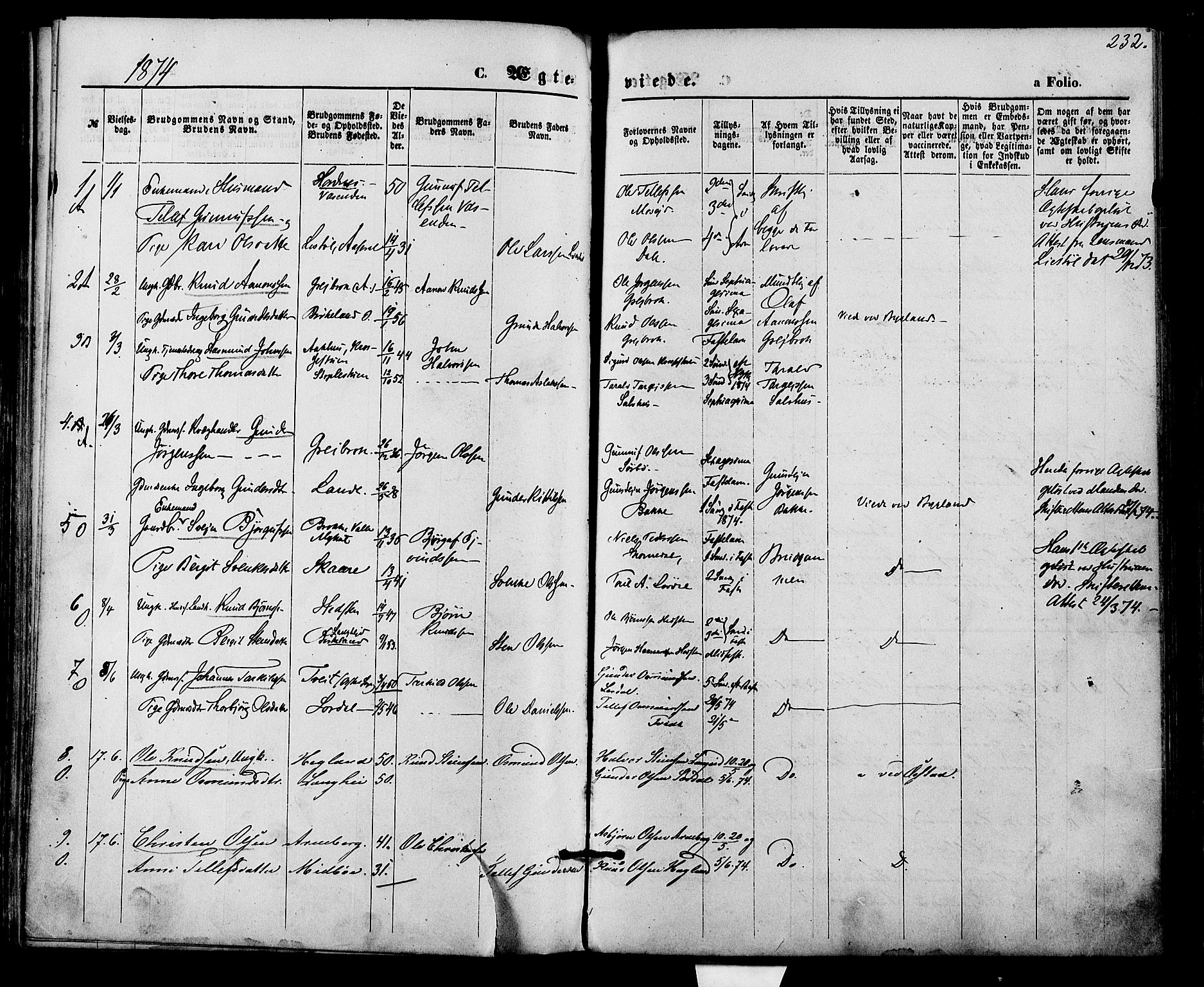 Bygland sokneprestkontor, SAK/1111-0006/F/Fa/Fab/L0006: Parish register (official) no. A 6, 1873-1884, p. 232