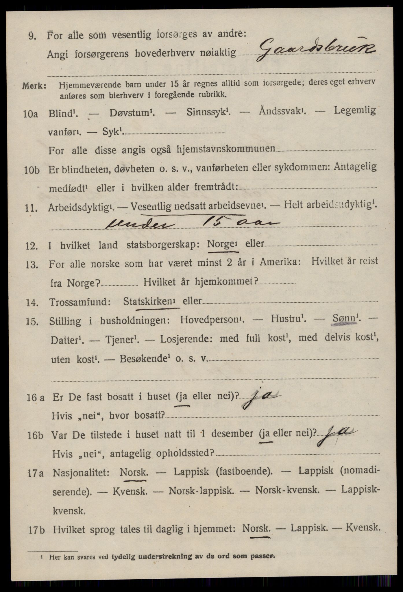 SAT, 1920 census for Hemne, 1920, p. 1247