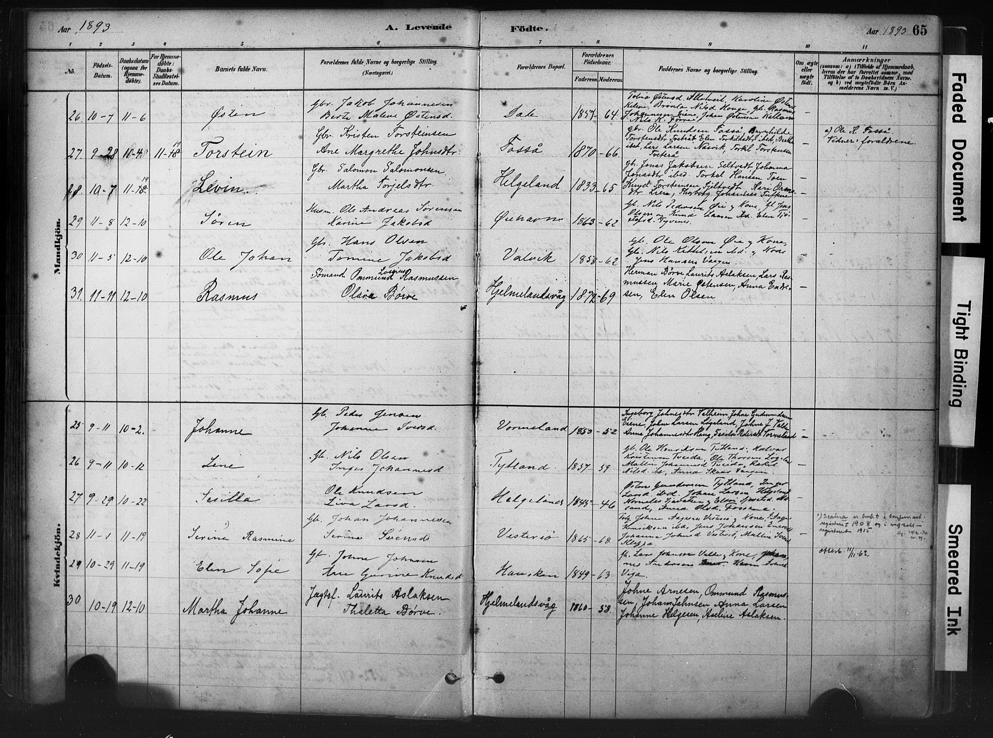 Hjelmeland sokneprestkontor, AV/SAST-A-101843/01/IV/L0014: Parish register (official) no. A 14, 1879-1900, p. 65