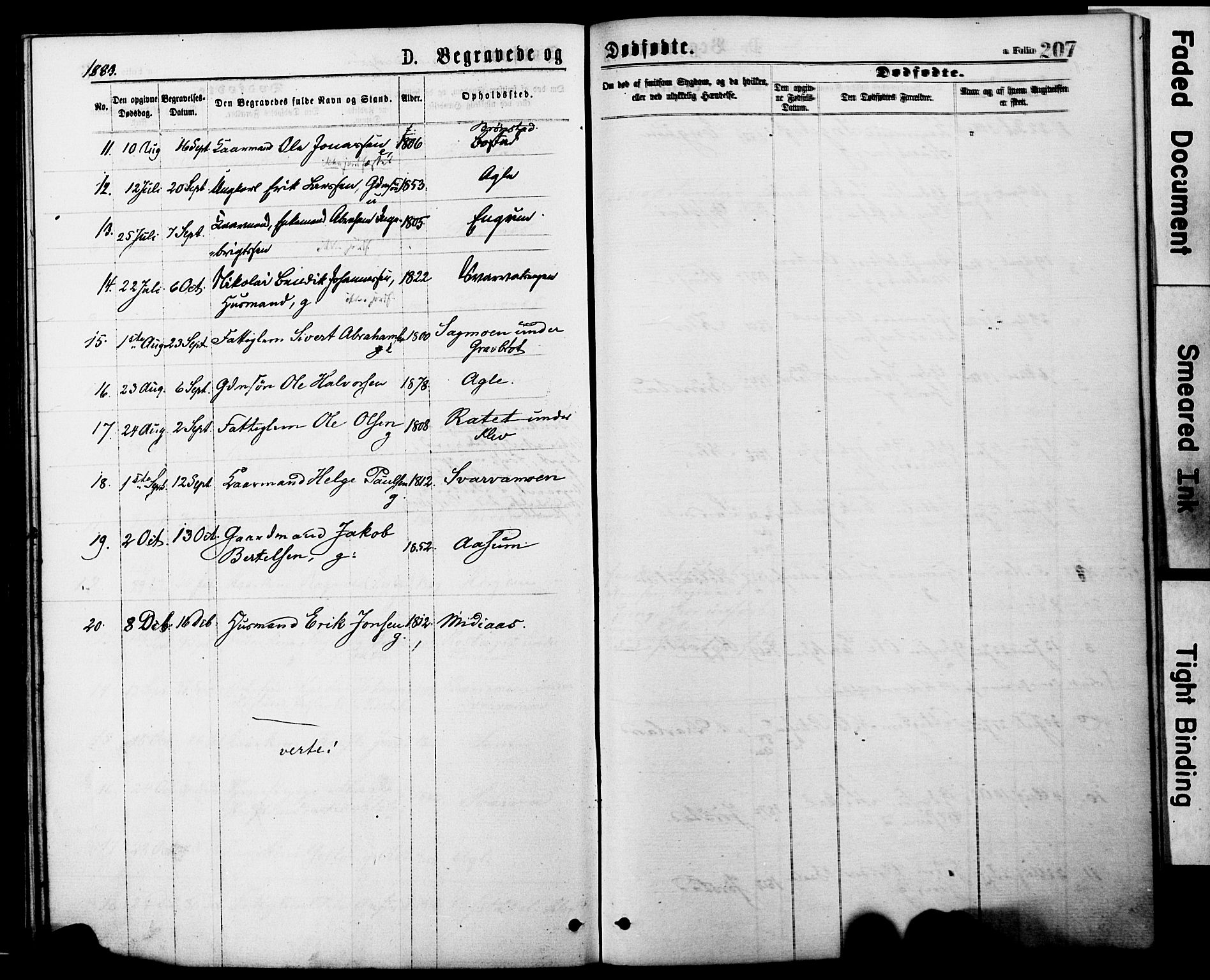 Ministerialprotokoller, klokkerbøker og fødselsregistre - Nord-Trøndelag, AV/SAT-A-1458/749/L0473: Parish register (official) no. 749A07, 1873-1887, p. 207