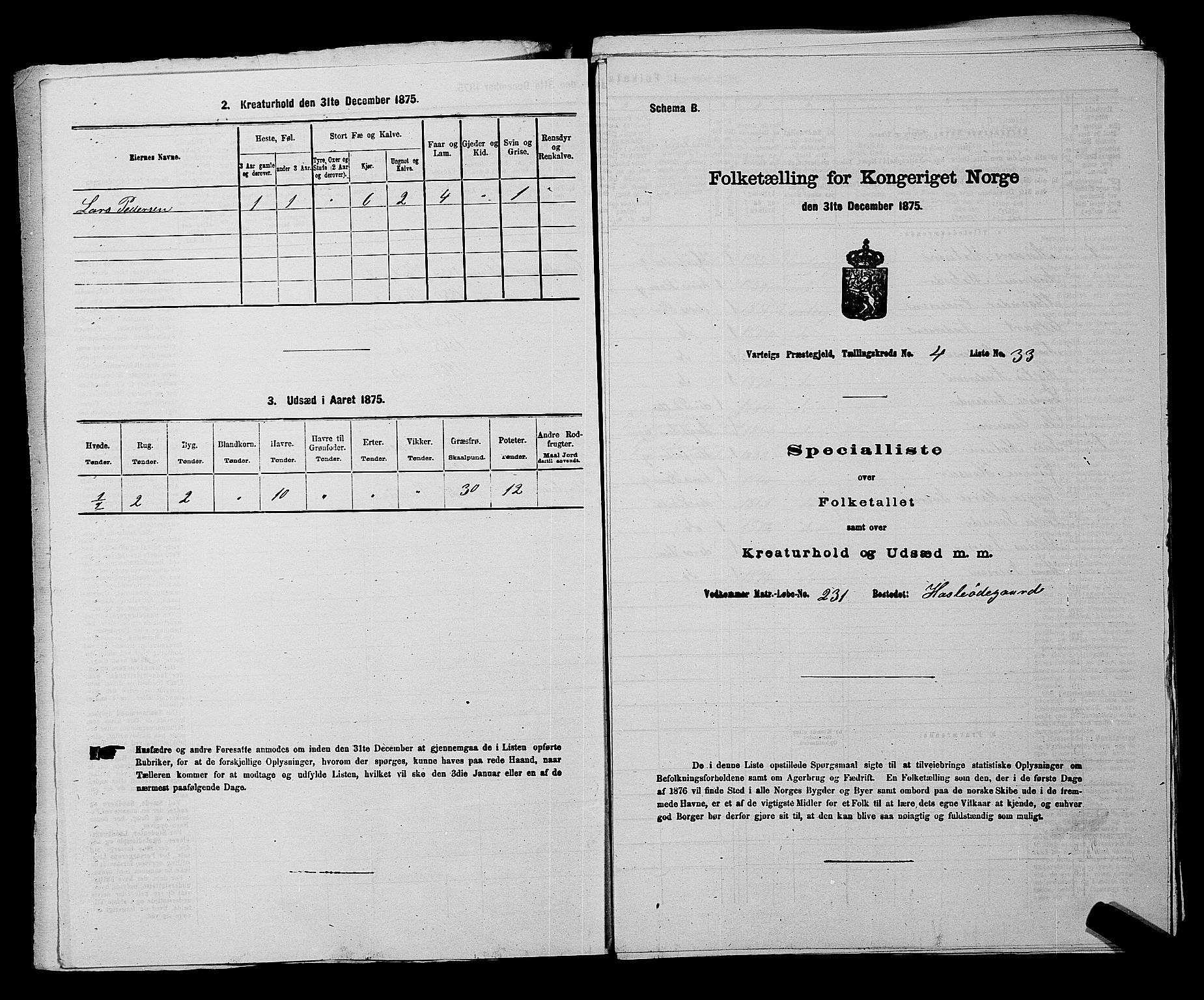 RA, 1875 census for 0114P Varteig, 1875, p. 326