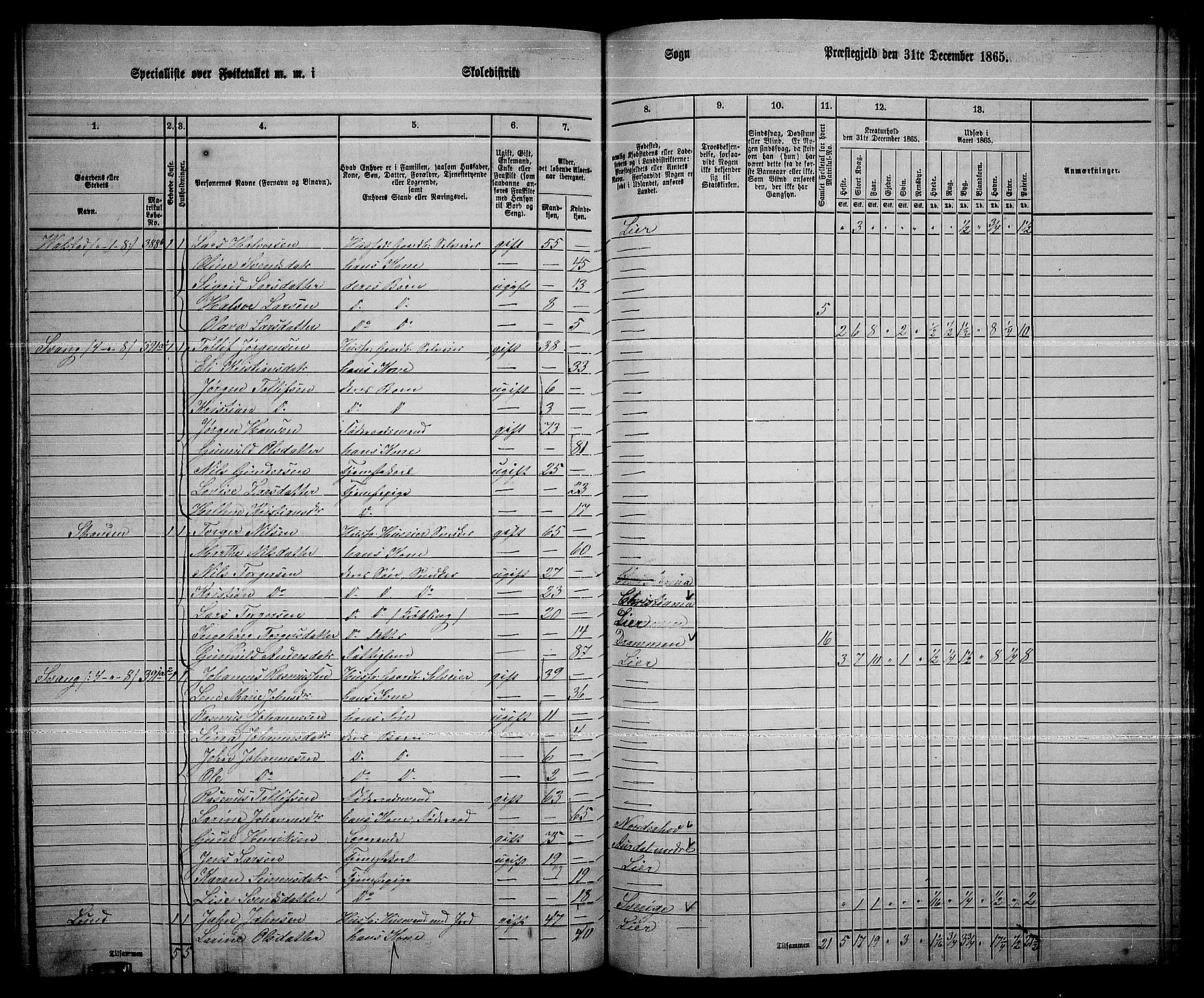 RA, 1865 census for Lier, 1865, p. 215