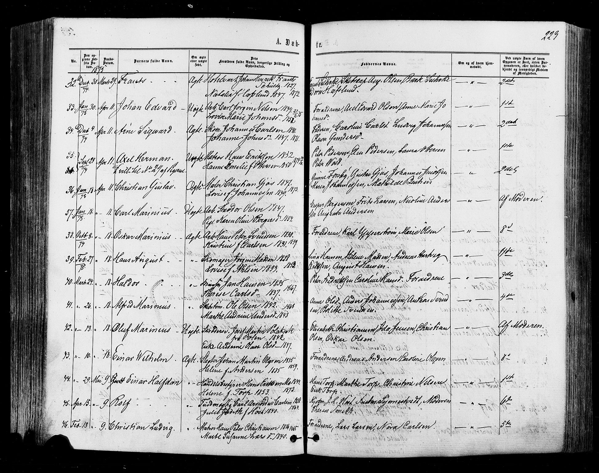 Halden prestekontor Kirkebøker, SAO/A-10909/F/Fa/L0009: Parish register (official) no. I 9, 1866-1877, p. 223