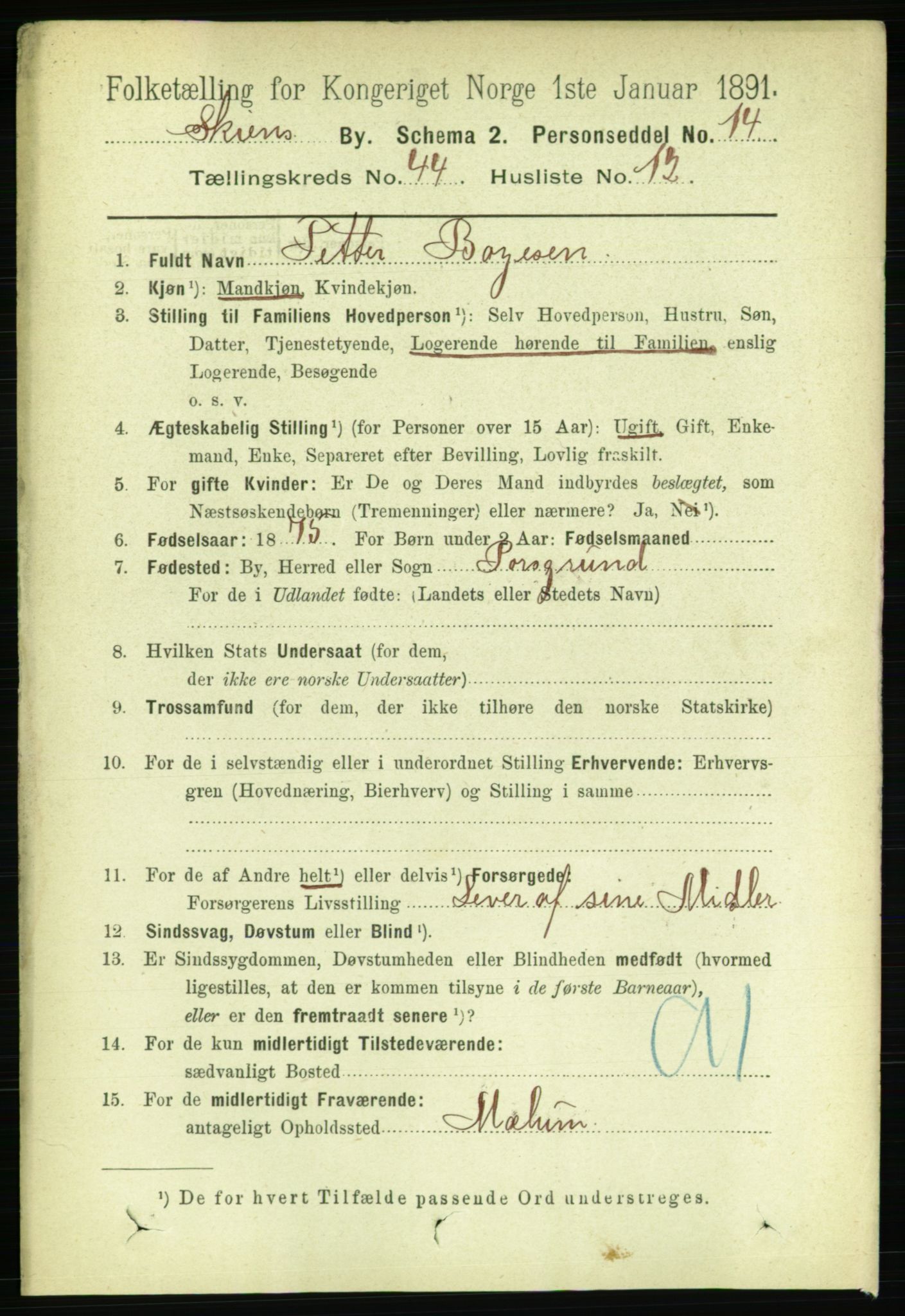 RA, 1891 census for 0806 Skien, 1891, p. 8915