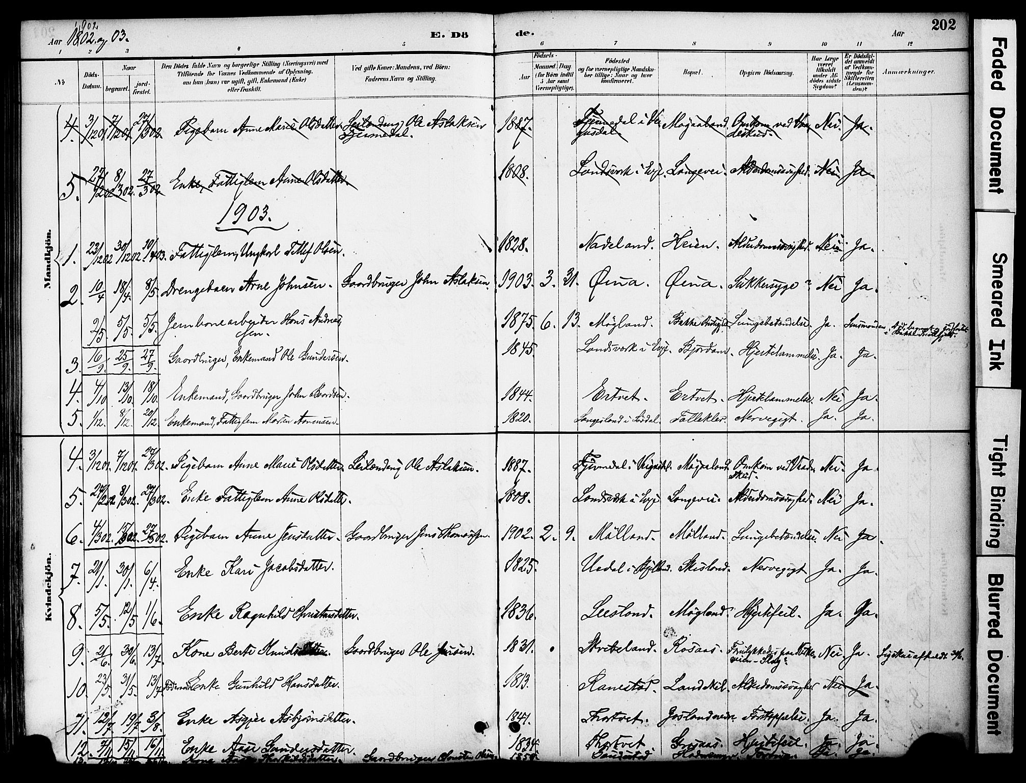 Evje sokneprestkontor, AV/SAK-1111-0008/F/Fa/Fac/L0003: Parish register (official) no. A 3, 1884-1909, p. 202